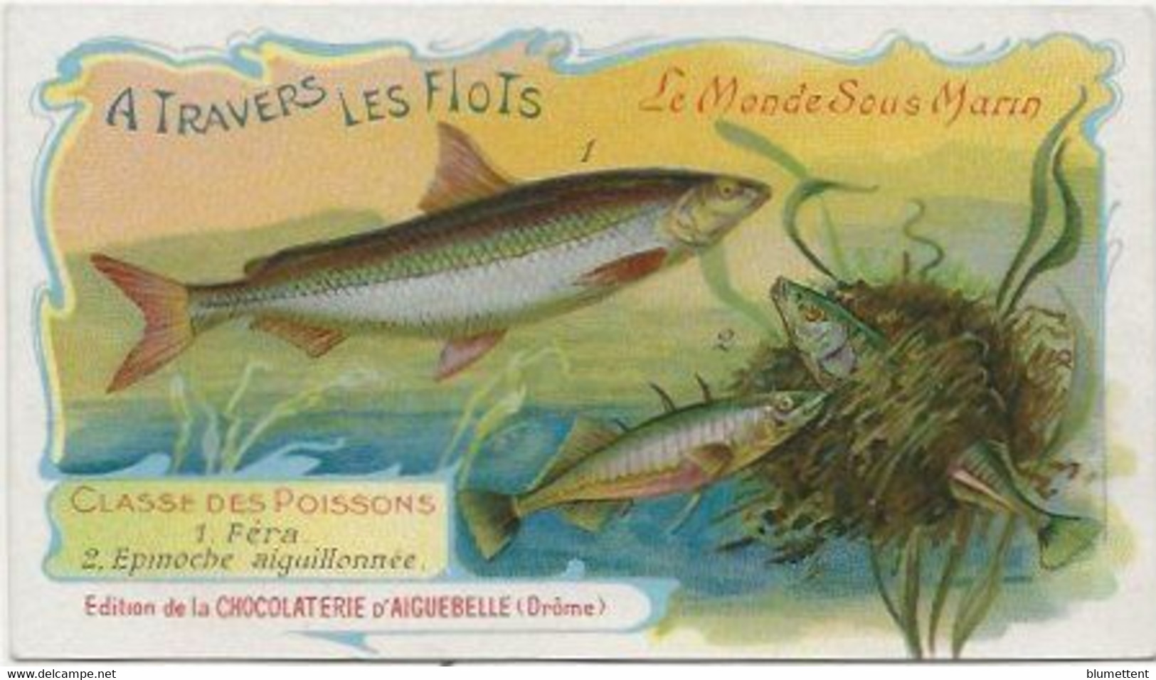 Chromo Aiguebelle 11,5 X 6.5 Le Monde Sous-marin - A Travers Les Flots - Aiguebelle