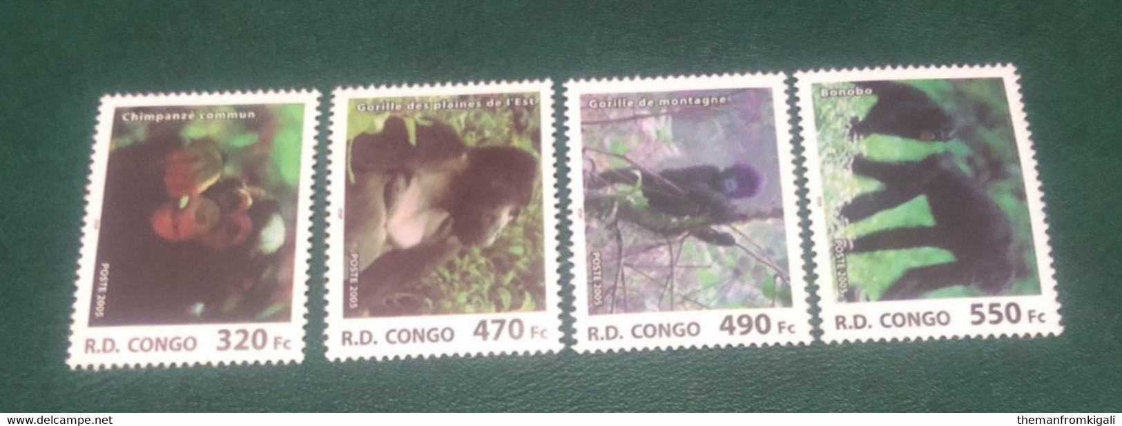 Congo DR 2005 - Endangered Apes. - Sonstige & Ohne Zuordnung