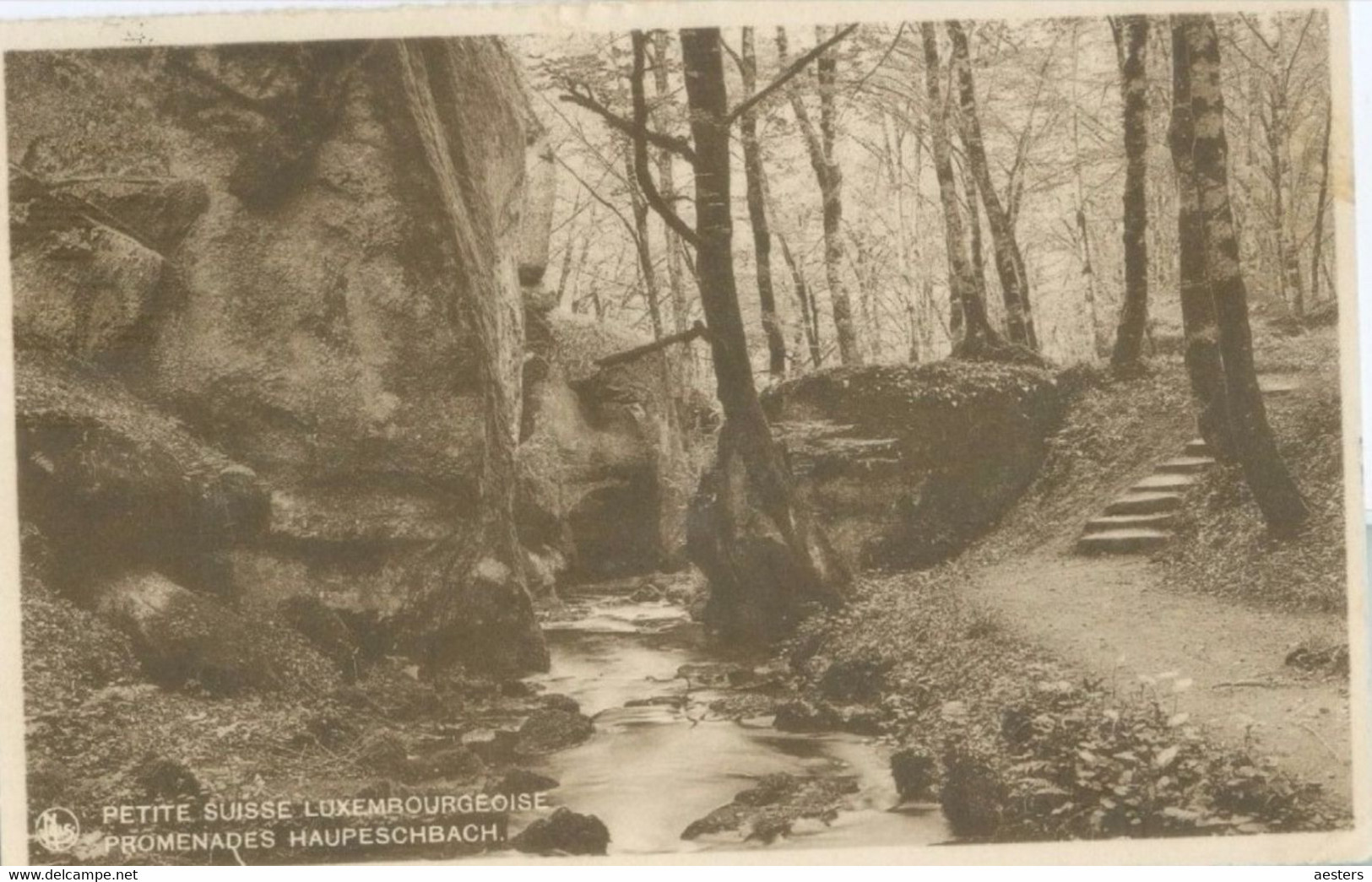 Berdorf; Haupeschbach - Voyagé. (E. A. Schaack - Luxembourg) - Berdorf