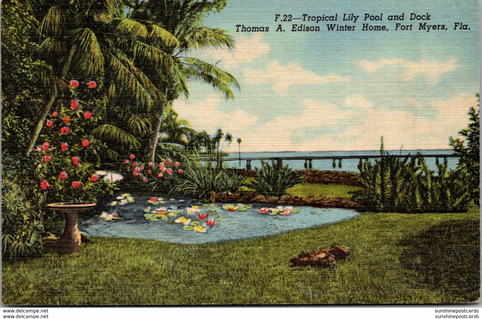 Florida Fort Myers Tropical Lily Pool And Dock Thomas A Edison Winter Home Curteich - Fort Myers