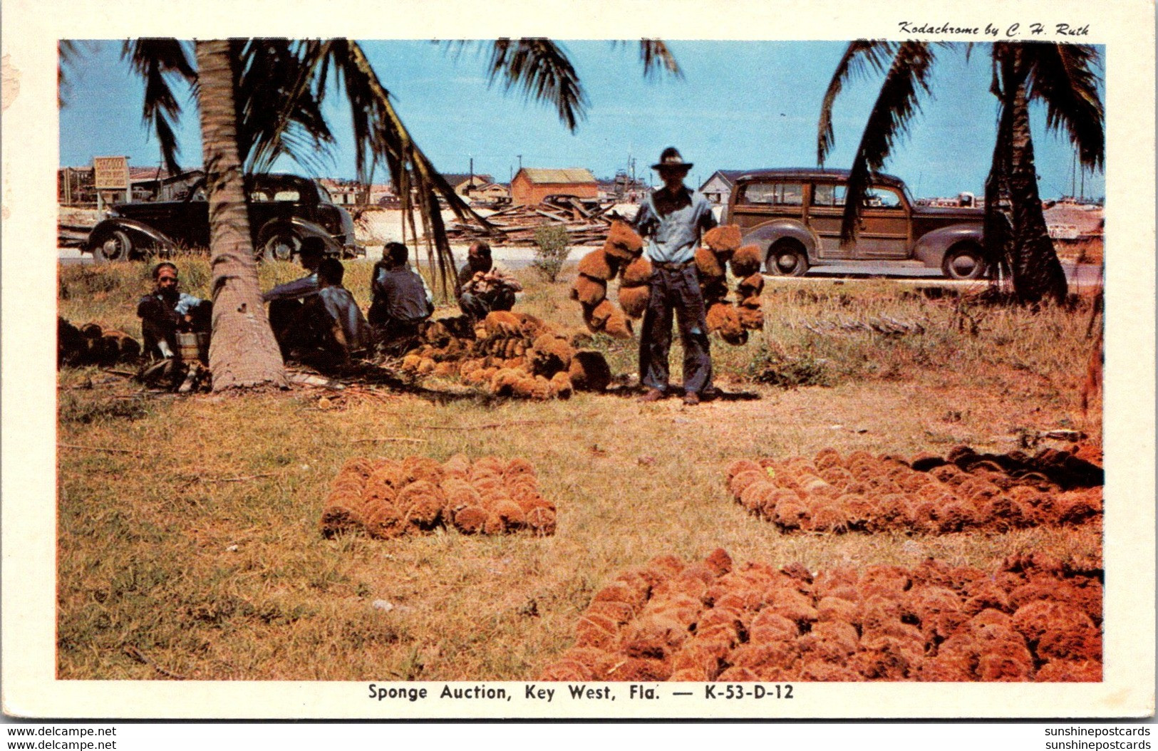 Florida Key West Sponge Auction Dexter Press - Key West & The Keys