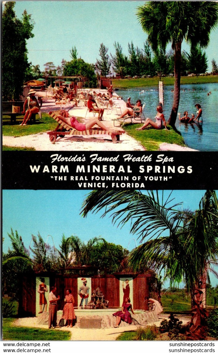 Florida Venice Warm Mineral Springs 1959 - Venice