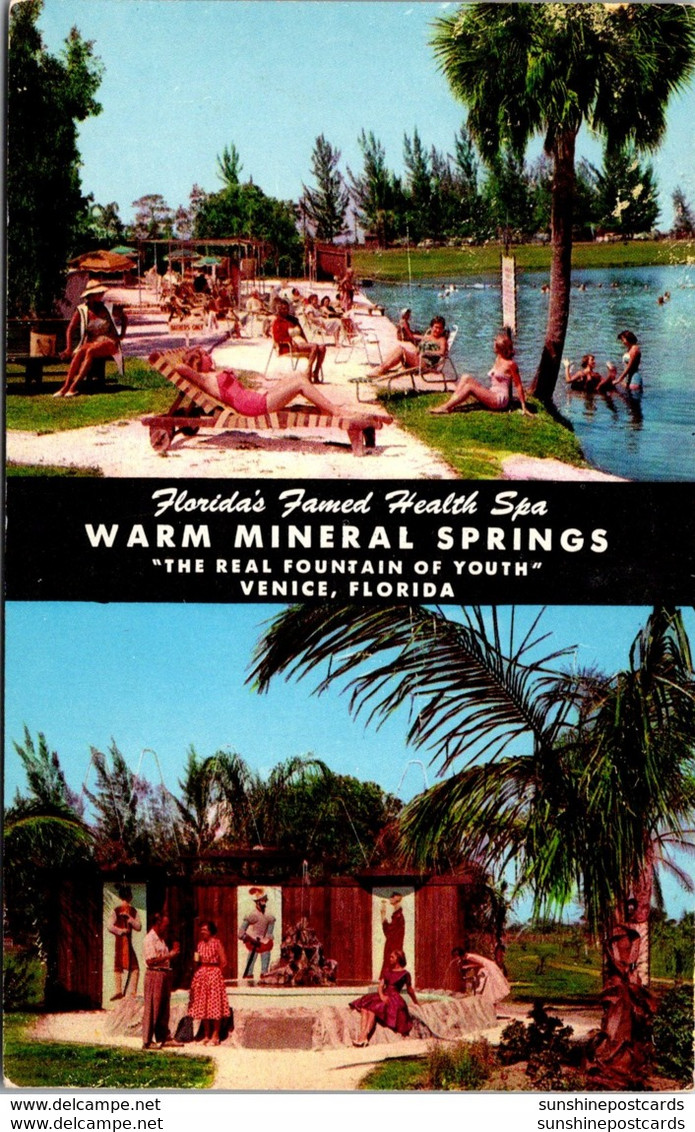 Florida Venice Warm MIneral Springs - Venice