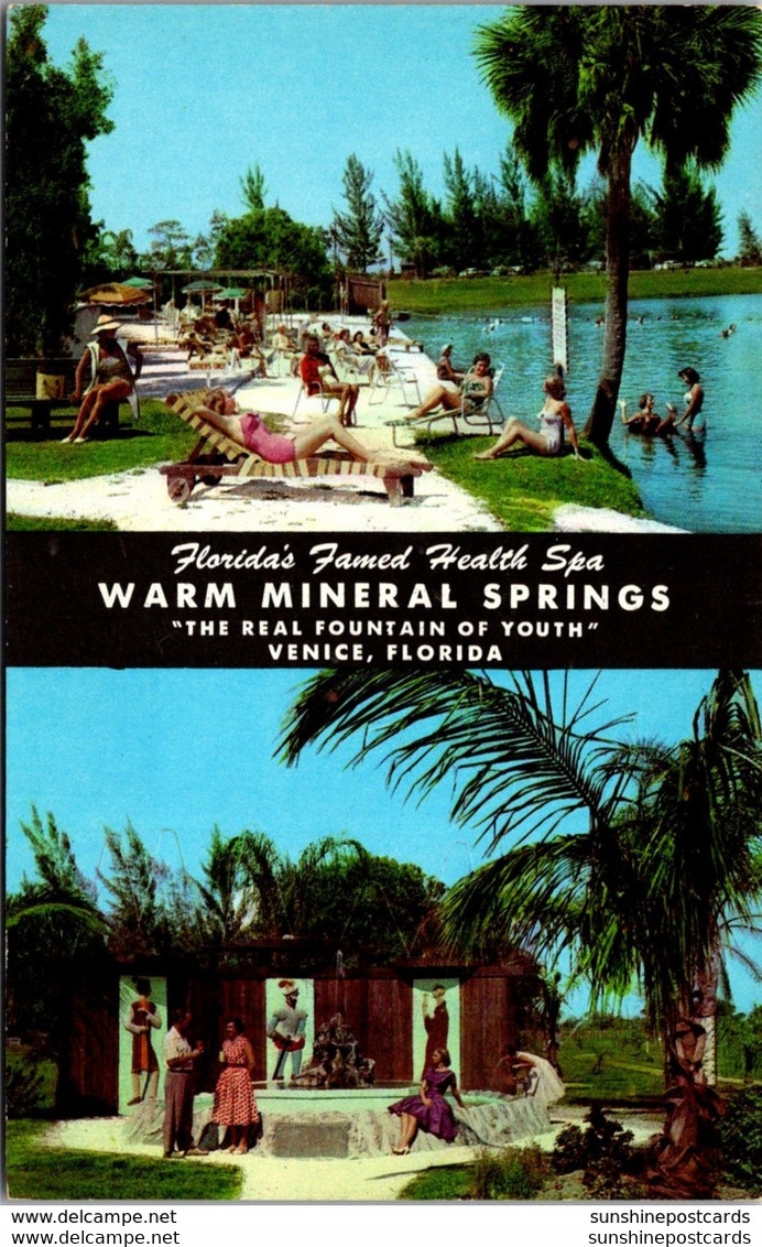 Florida Venice Warm Mineral Springs - Venice