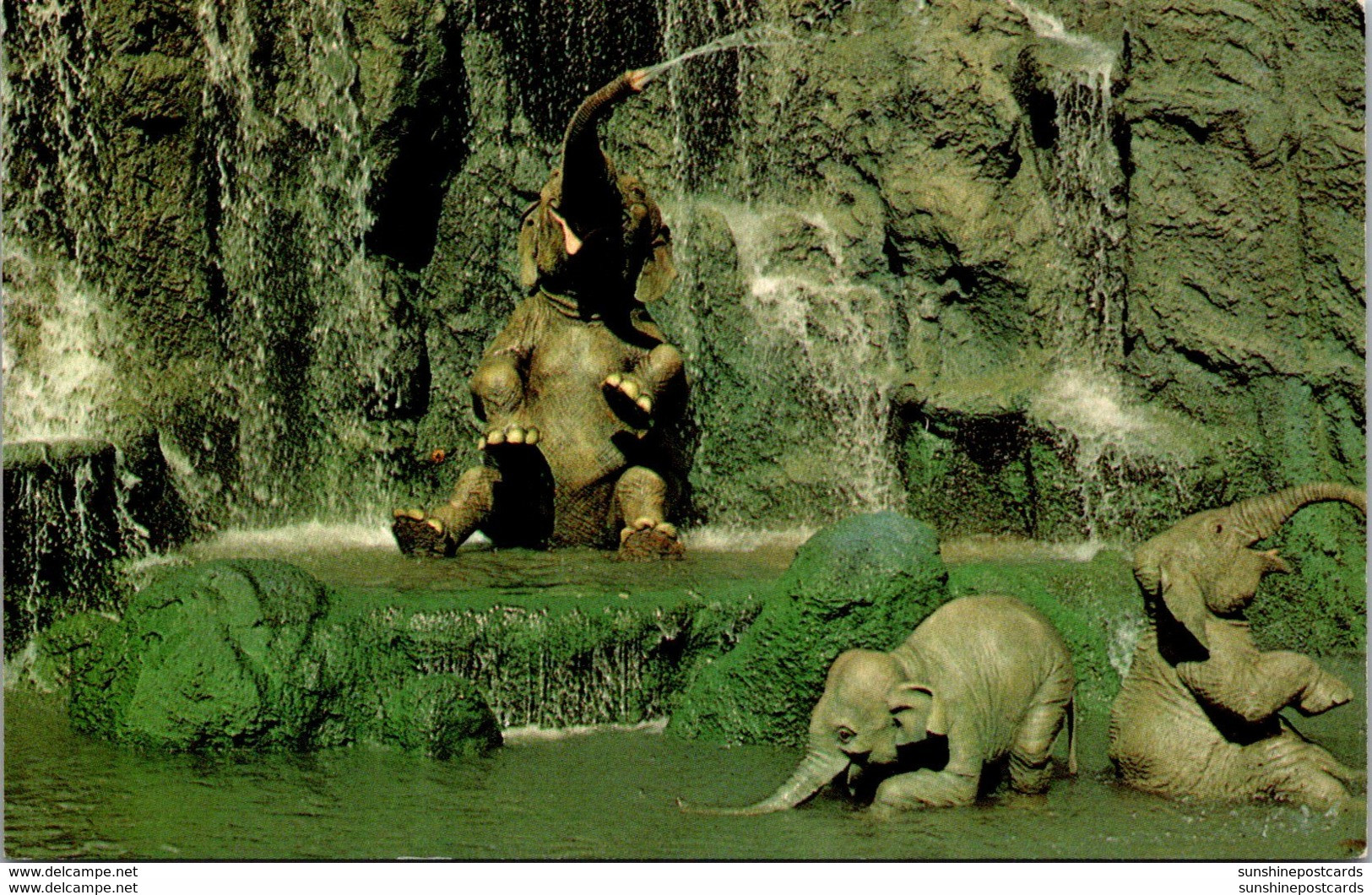 Florida Walt Disney World Jungle River Cruise Elephant Bathing Pool 1972 - Orlando