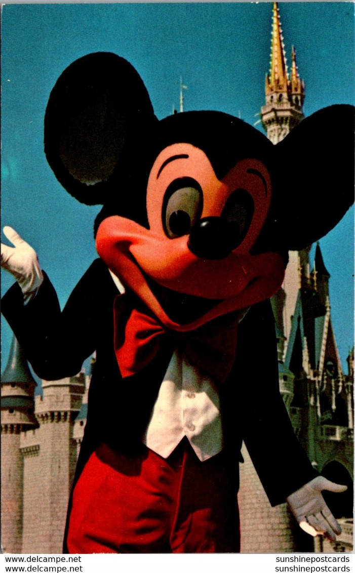 Florida Walt Disney World Mickey Mouse Welcome To Fantasyland - Orlando