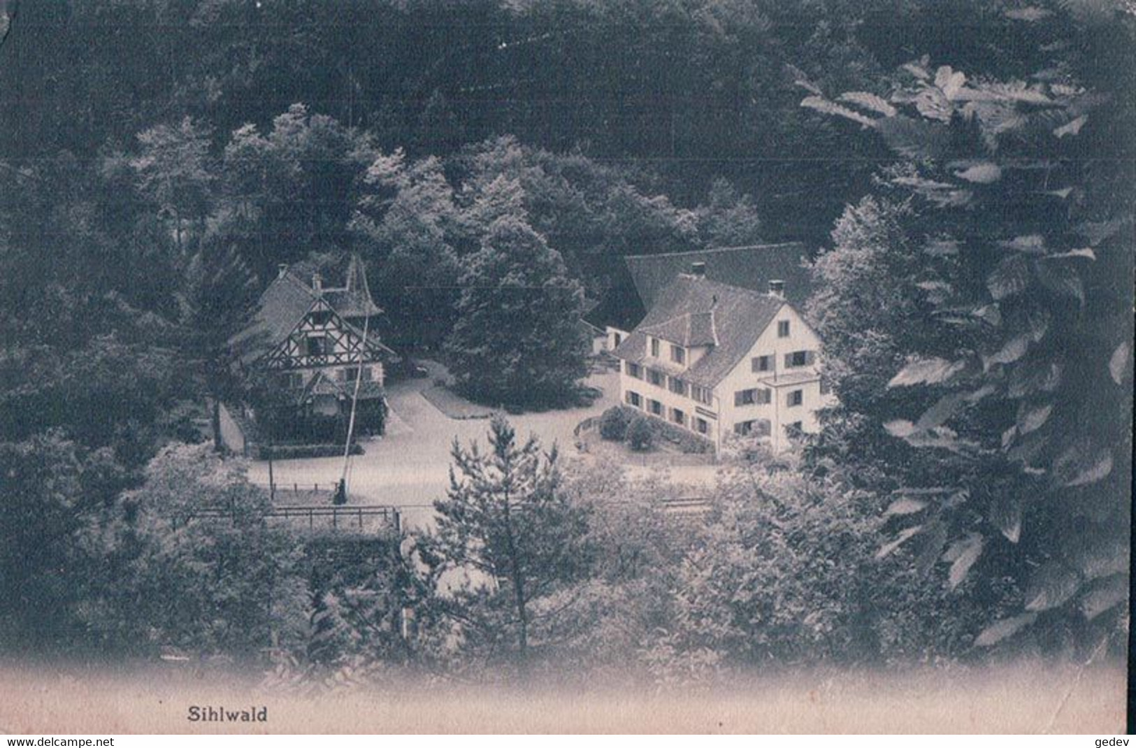 Sihlwald ZH, Chemin De Fer (2480) - Wald