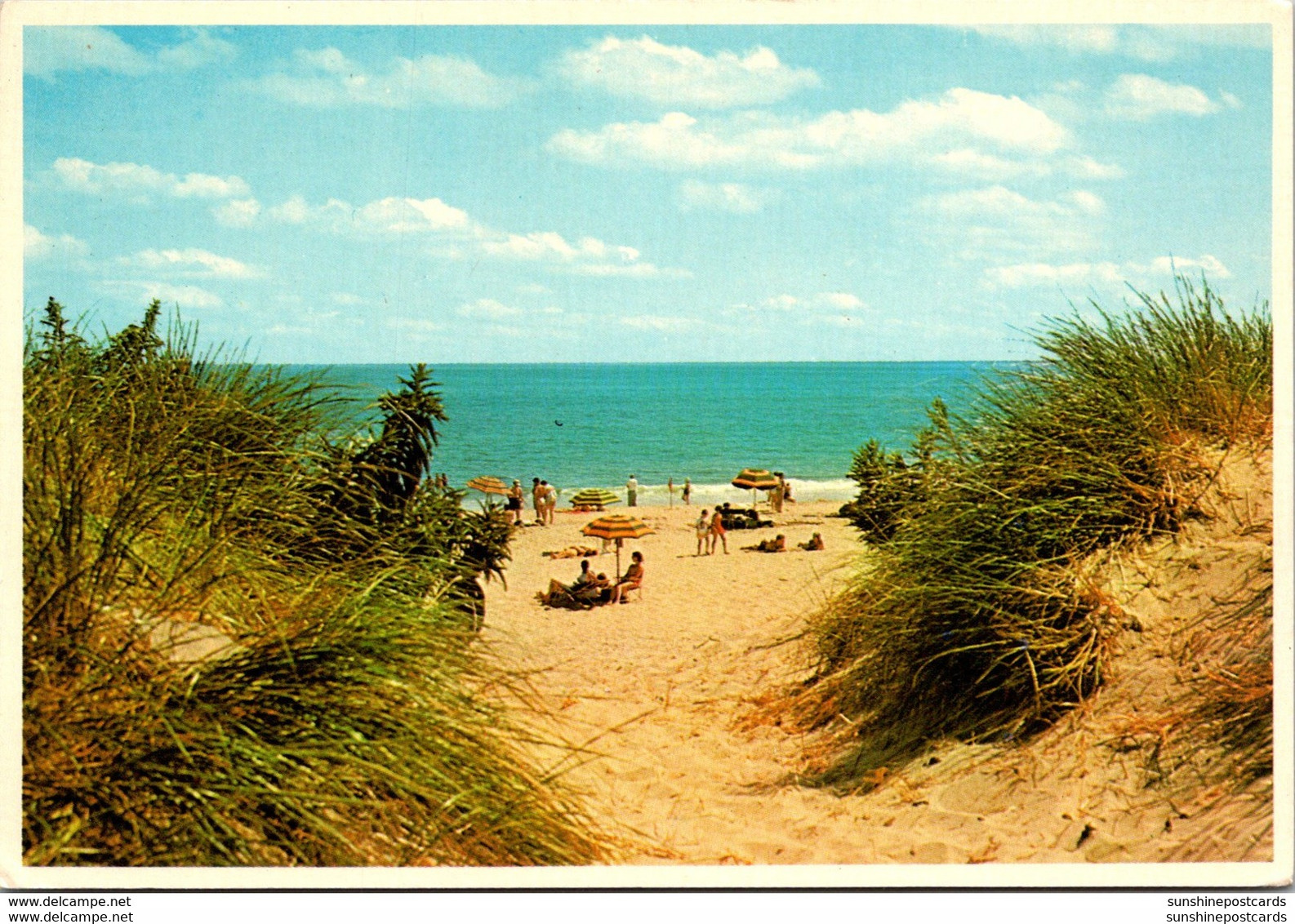 New York Long Island Jones Beach State Park Sand Dunes - Long Island