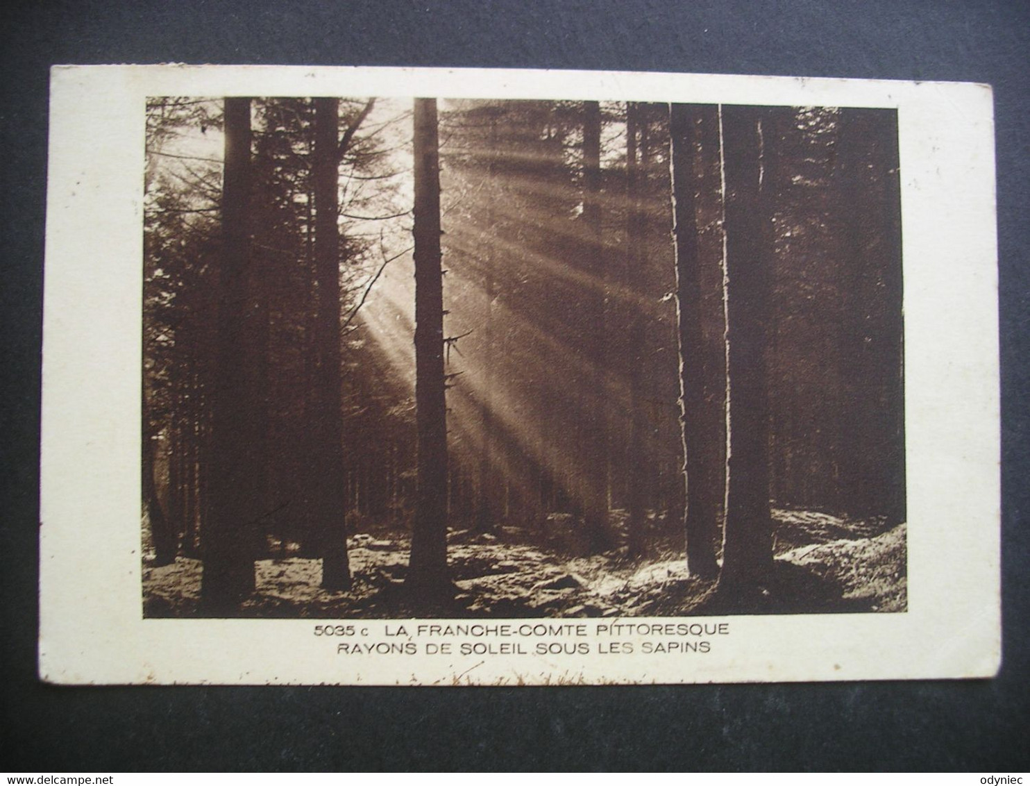 La Franche-Comte Pittoresque Rayons De Soleil Sous Les Sapins 1937 - Franche-Comté