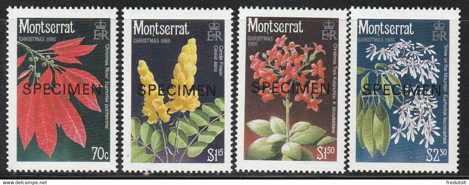MONTSERRAT - SPECIMEN - N°640/3 ** (1986) Fleurs - Montserrat