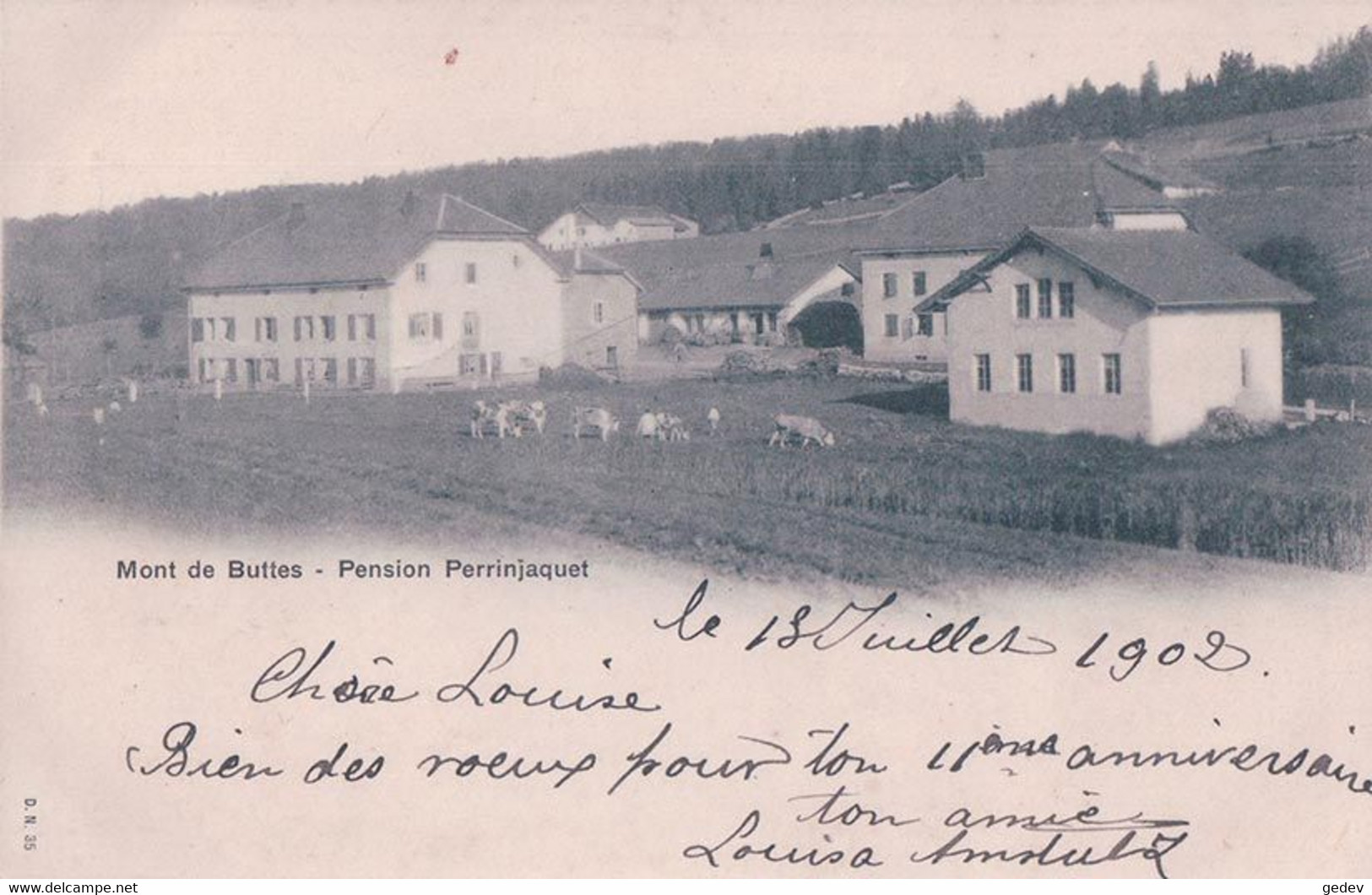 Mont De Buttes NE, Hôtel Pension Perrinjaquet Et Troupeau De Bétail (35) - Buttes 