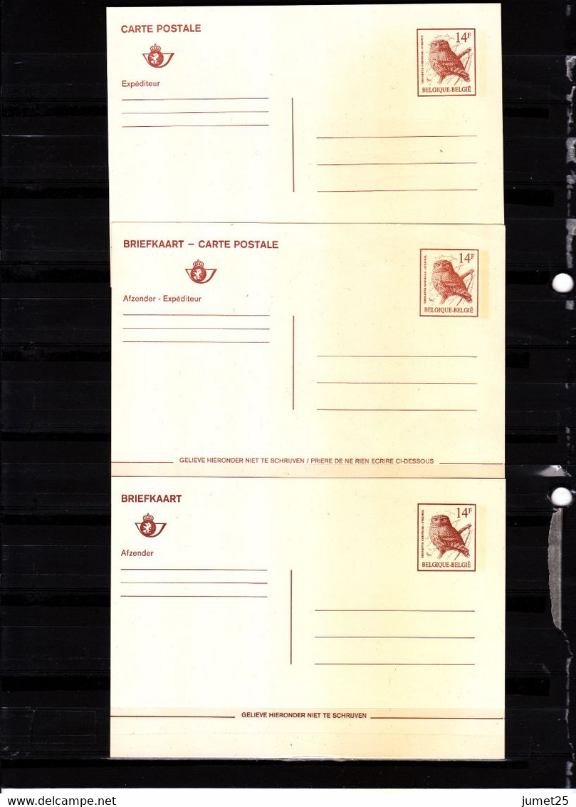 Buzin - Chouette Chevêche - Briefkaarten 1951-..