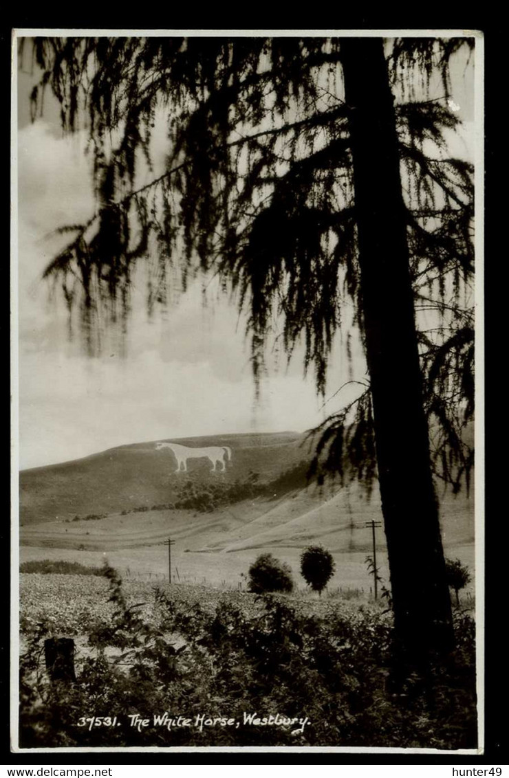 Westbury The White Horse 1963 Sweetman - Salisbury