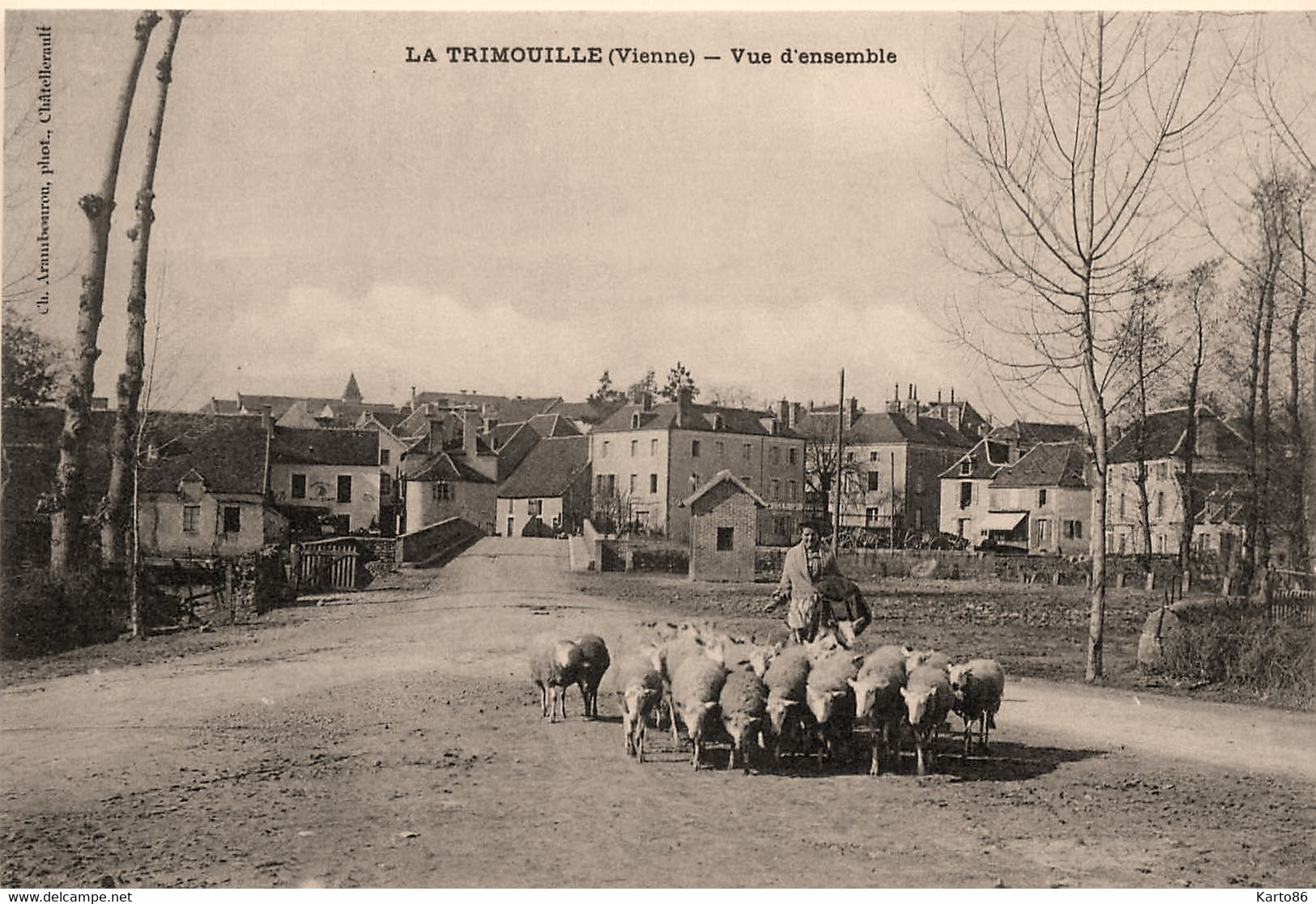La Trimouille * Route Et Rue Du Village * Berger Moutons - La Trimouille