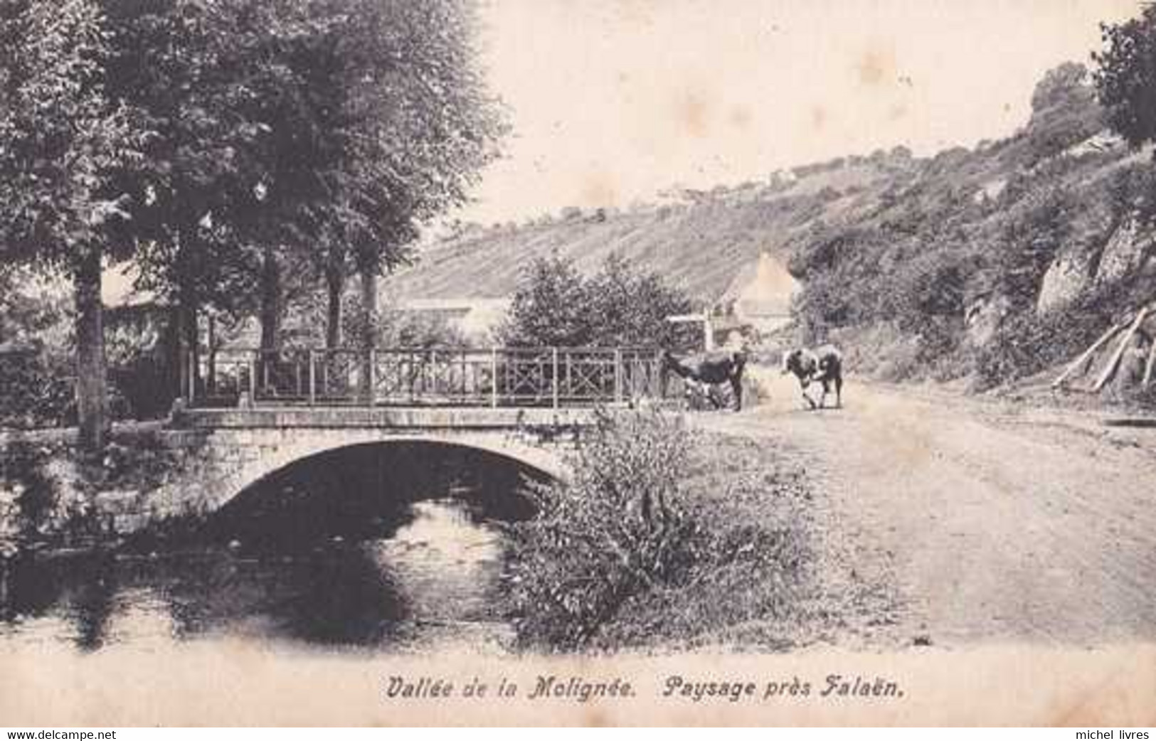 Falaën - Paysage - Vallée De La Molignée - Onhaye - Circulé En 1905 - Dos Non Séparé - BE - Onhaye