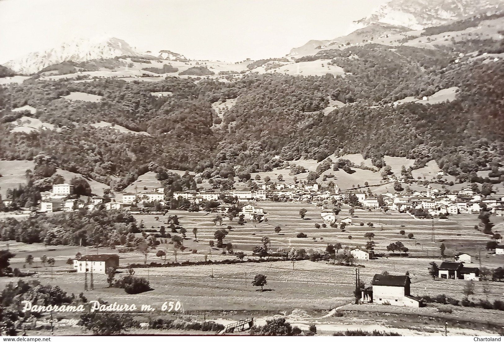 Cartolina - Panorama Pasturo ( Lecco ) - 1960 - Lecco