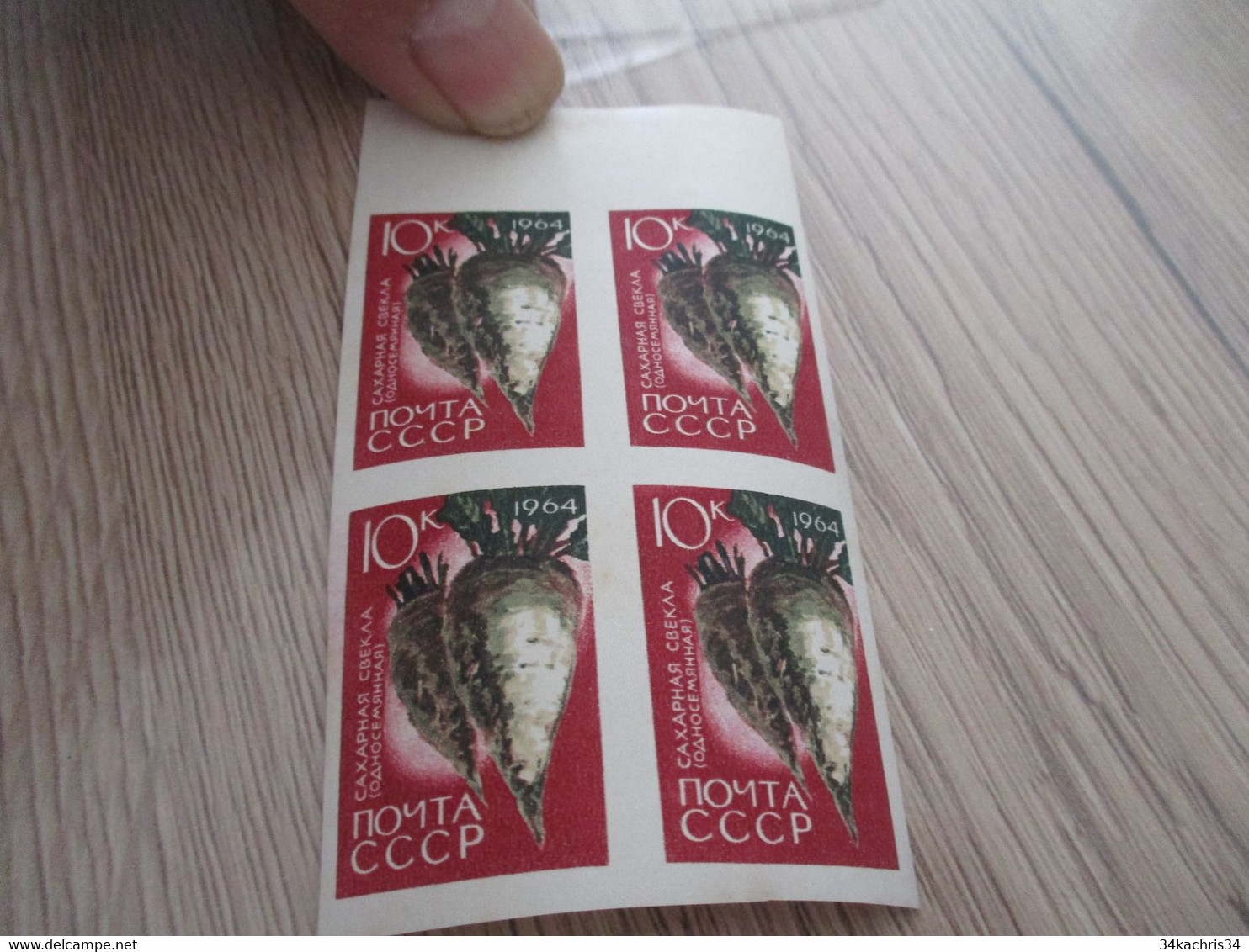RUSSIA RUSSIE 1964 Flowers Fleurs Umperfored Non Dentelés 6 Blocs Avec Rousseurs - Unused Stamps