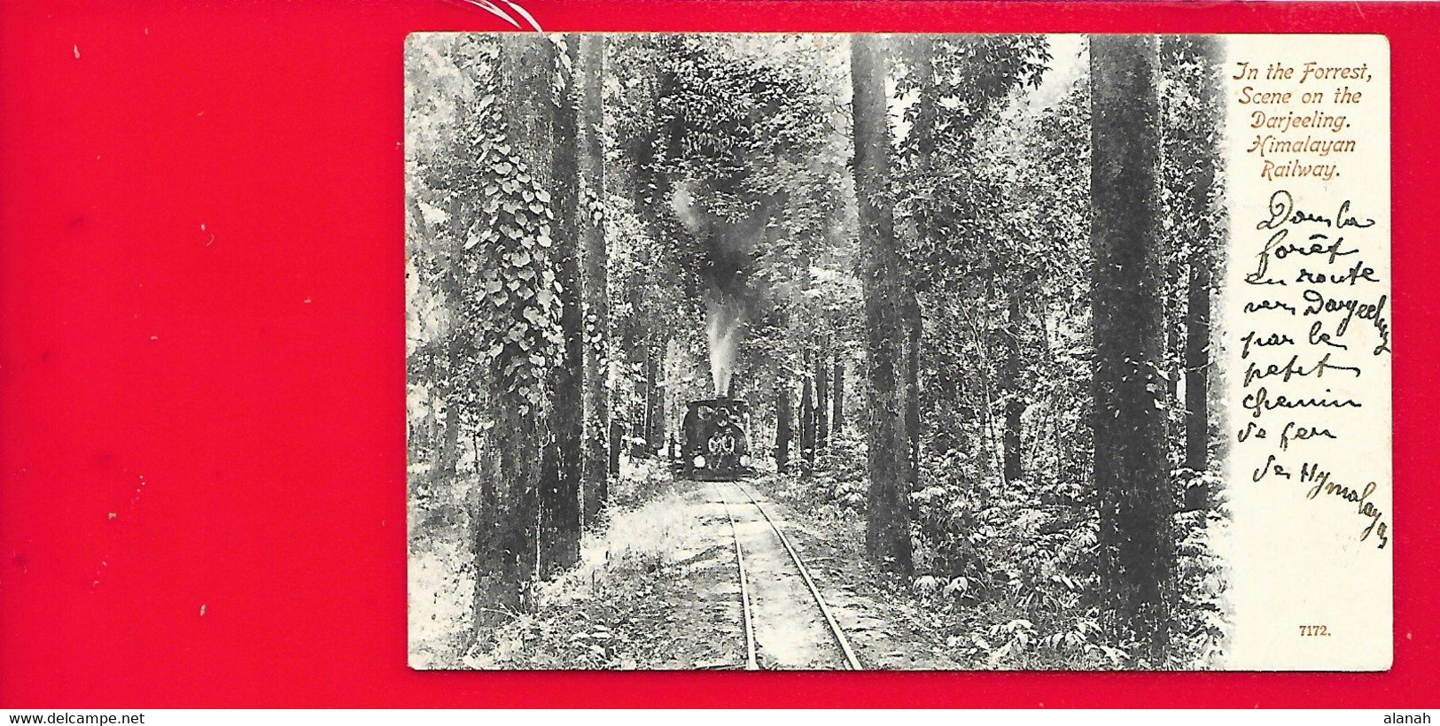 Himalayan Railway Forrest Darjeeling Inde - Indien