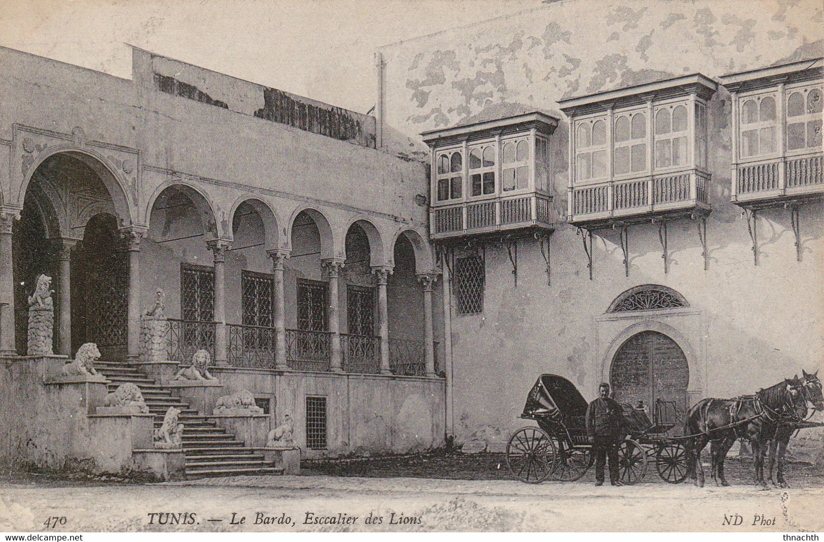 TUNIS  LE BARDO ESCALIER DES LIONS Animée - Tunisie