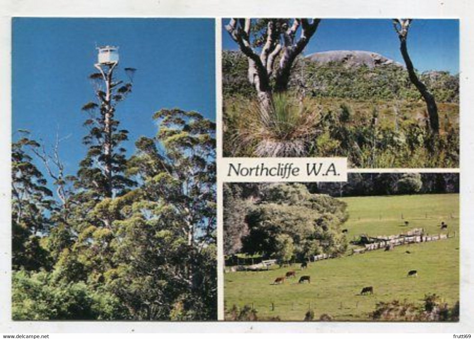 AK 057805 AUSTRALIA - Northcliffe - Autres & Non Classés