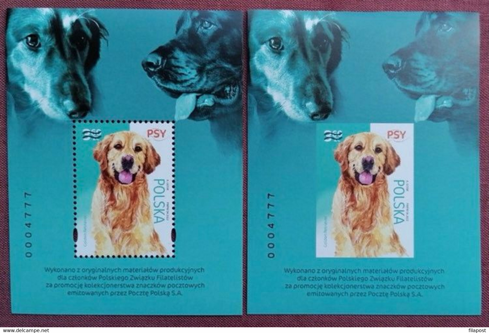 Poland 2022 / Dogs - Golden Retriever, Setter, Dachshund / Set Of 2 Blocks - Imperforated And Perforated MNH** New!!! - Full Sheets