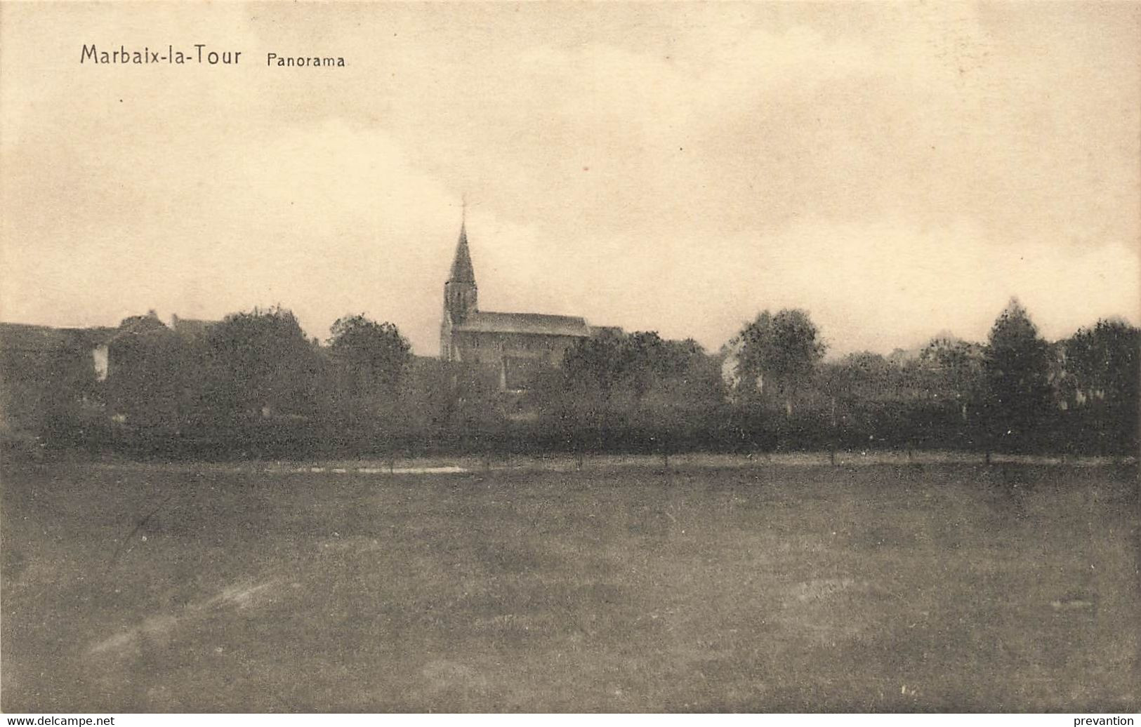 MARBAIX-la-TOUR - Panorama - Ham-sur-Heure-Nalinnes