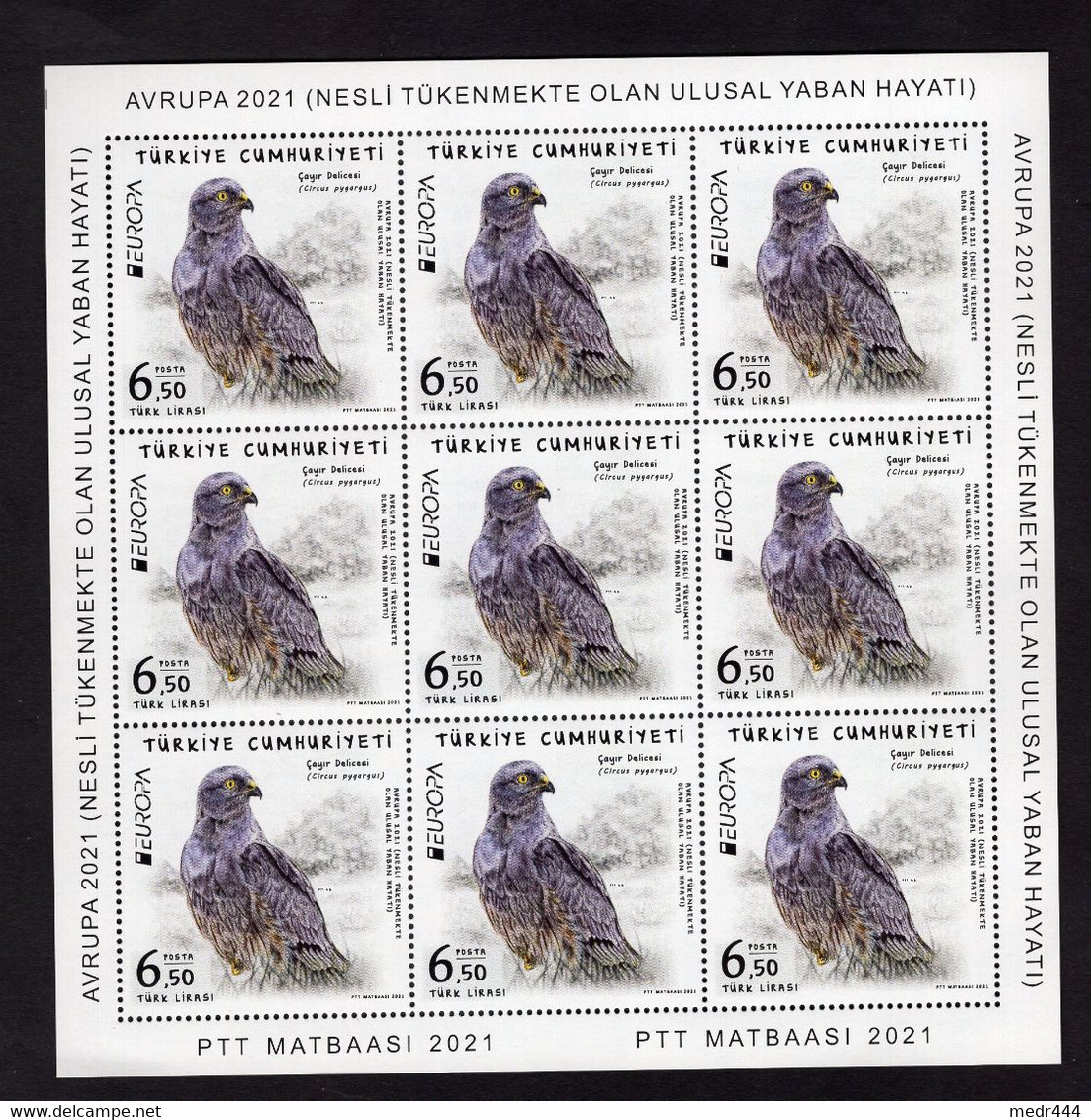 Turkey/Turquie 2021 - Europa - Fauna - National Endangered Wildlife - 2 Complete Full Sheets + Flyer - Superb*** - Lettres & Documents