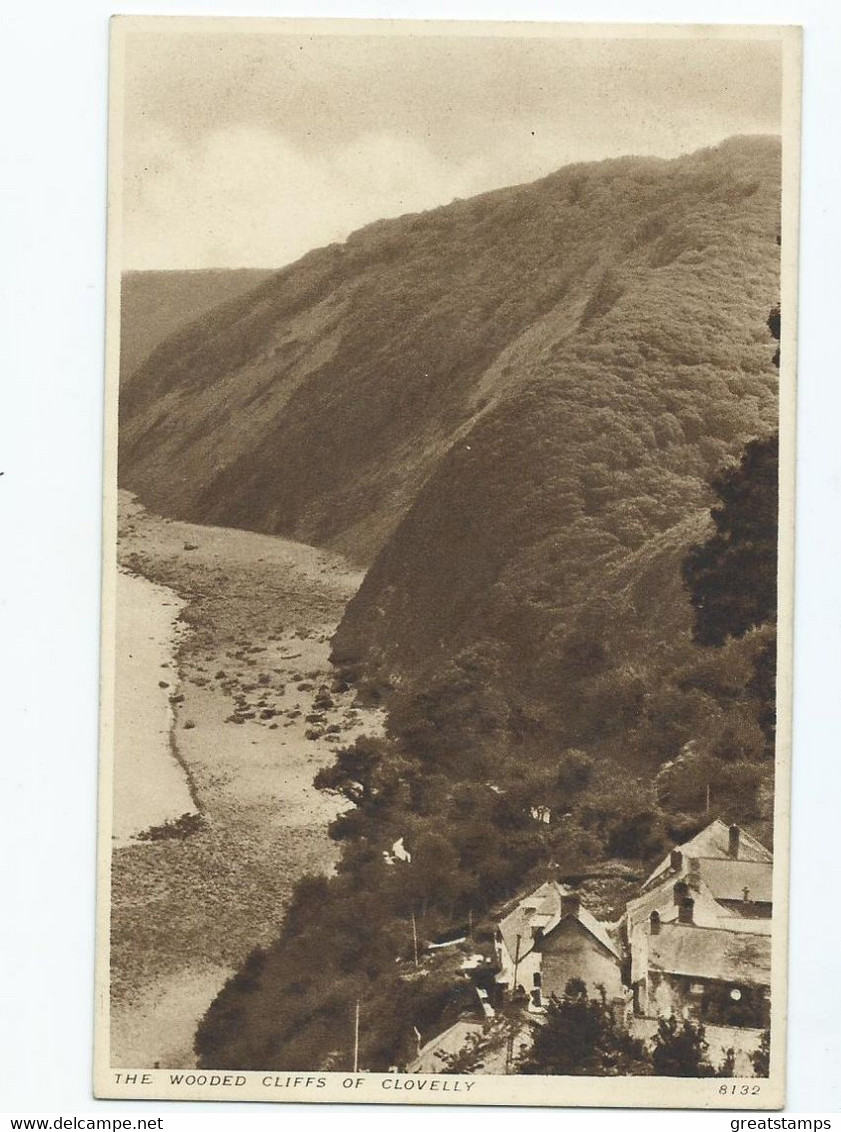 Devon Postcard The Wooded Cliffs Salmon    Unused - Clovelly