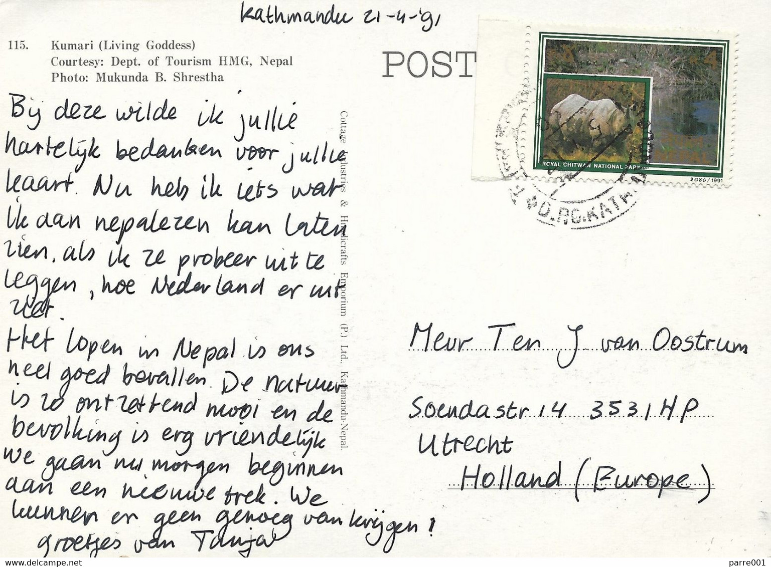 Nepal 1991 Kathmandu Indian Rhino Rhinoceros Unicornis Royal Chitwa National Park Viewcard - Rhinozerosse