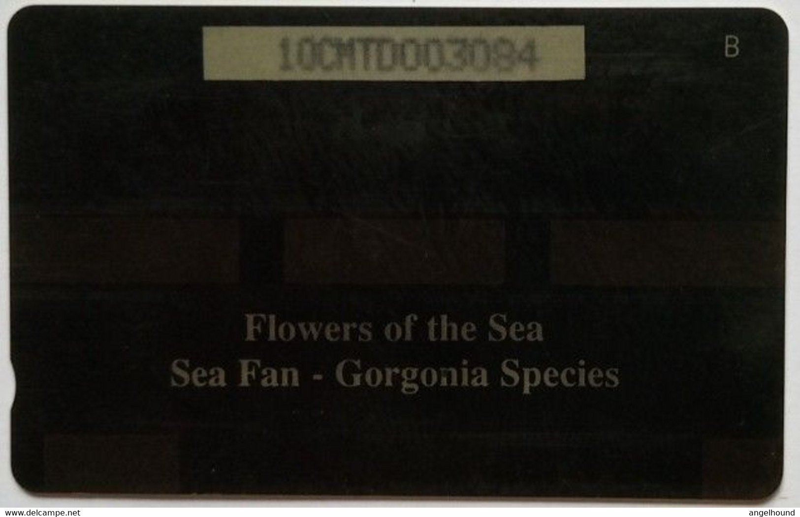 Montserrat Cable And Wireless EC$10 10CMTD "Flowers Of The Sea= Sea Fan Gorgonia Species " - Montserrat