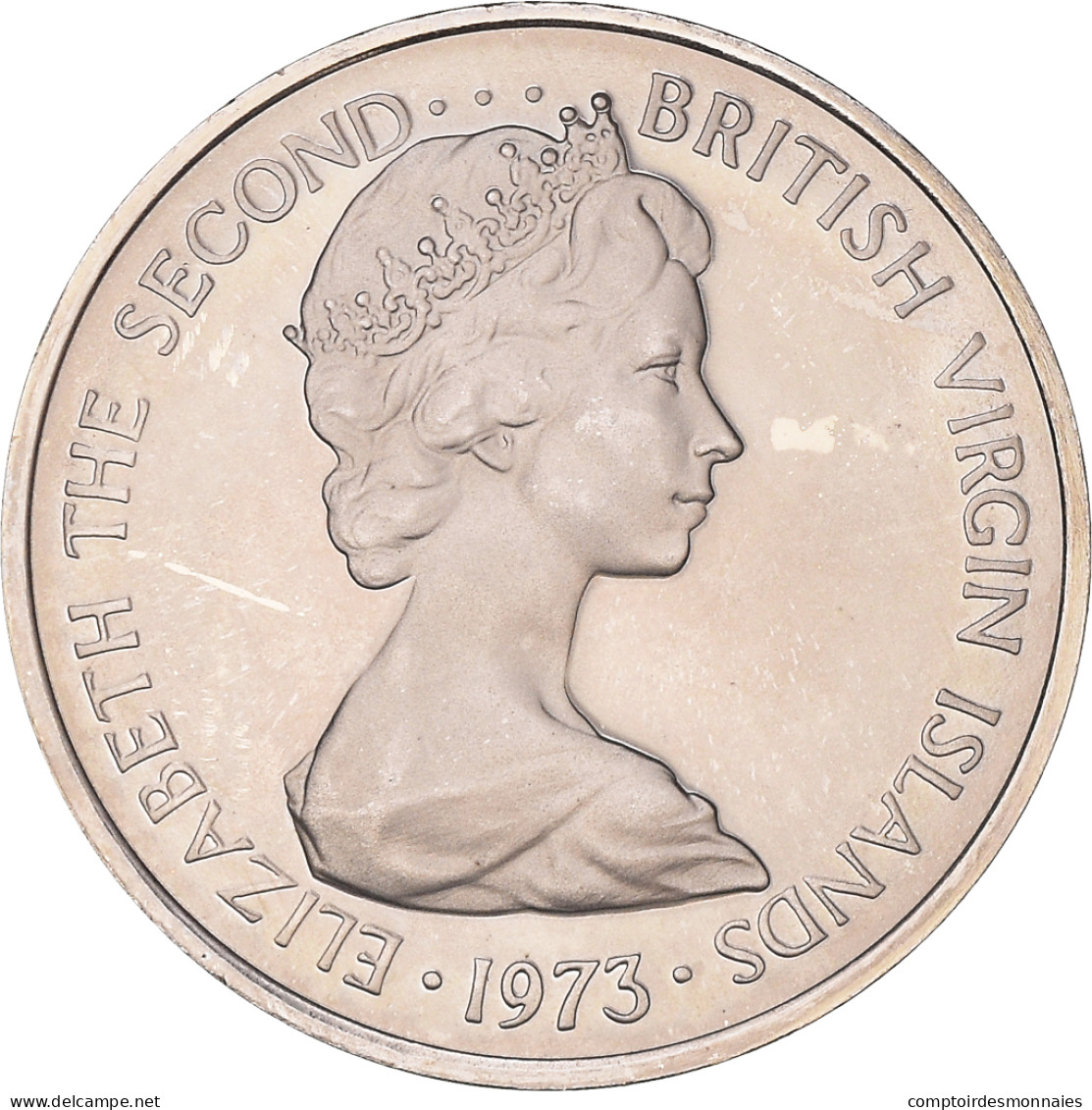 Monnaie, Îles Vierges Britanniques, Elizabeth II, 5 Cents, 1973, Franklin Mint - Jungferninseln, Britische