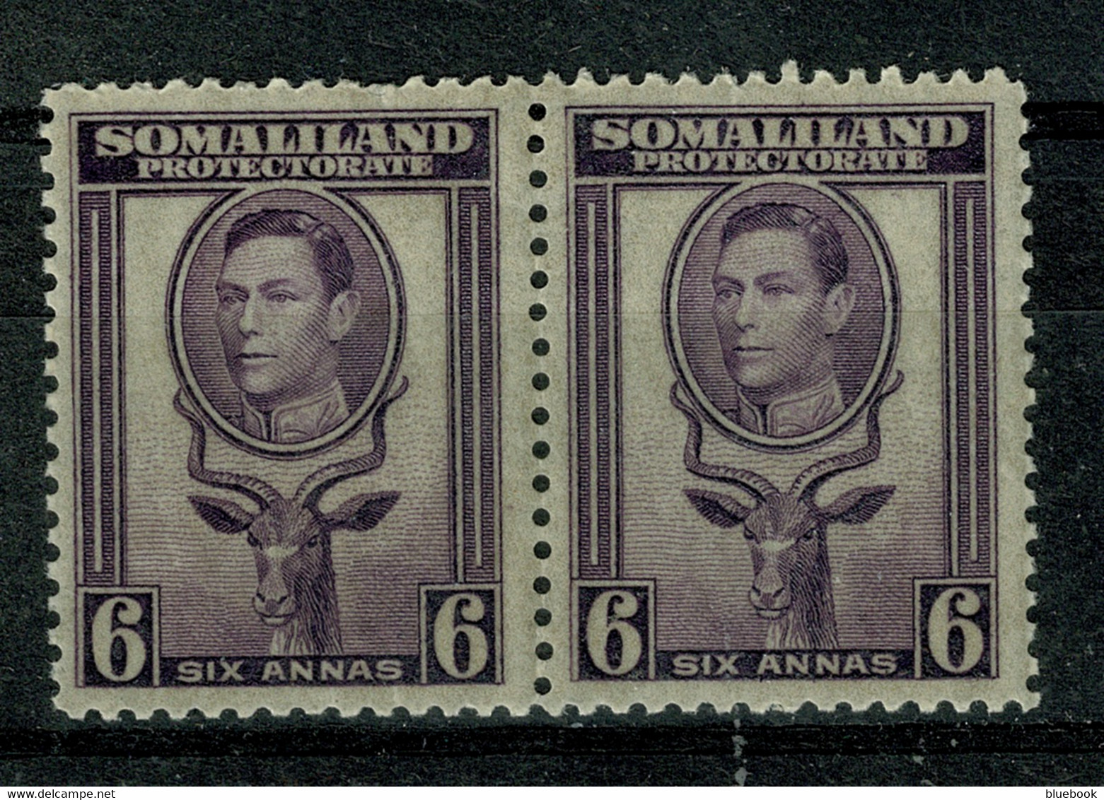 Ref  1549  -  1938 KGVI Somaliland Protectorate MNH 6d Pair Stamps SG 98 - Somaliland (Protectorate ...-1959)