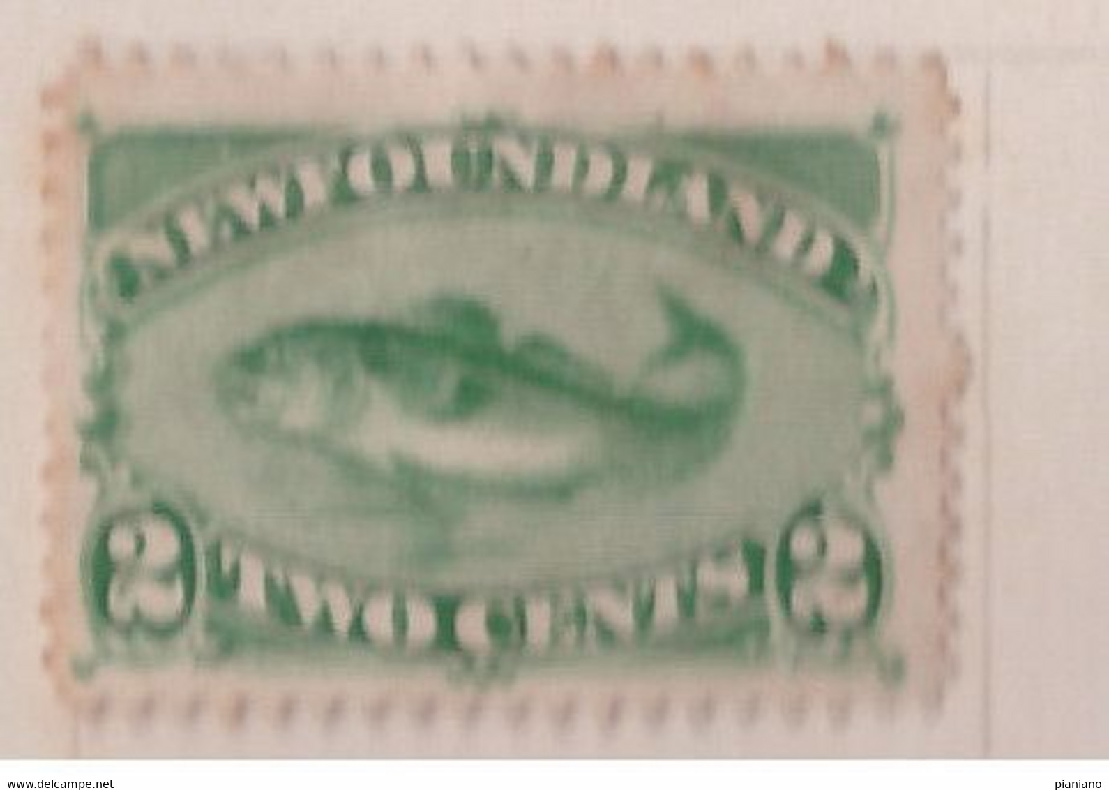 PIA - TERRANOVA -  1880 : Pesce Merluzzo - (Yv 36) - Autres & Non Classés