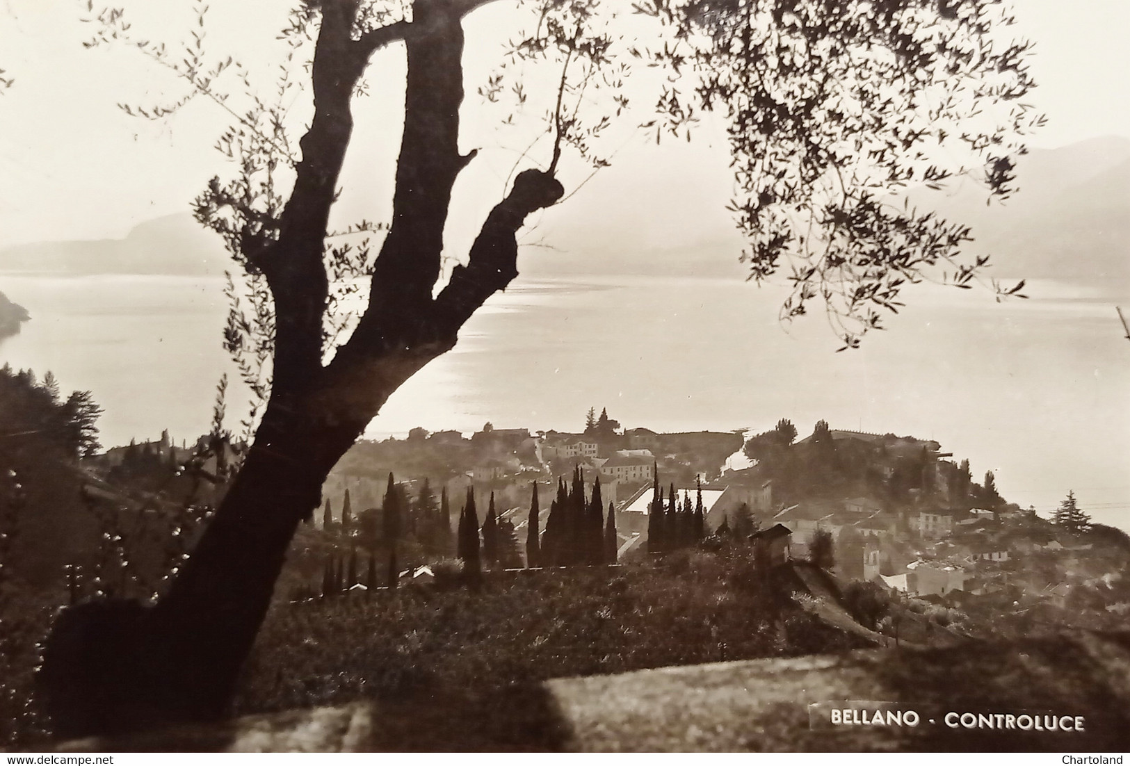 Cartolina - Bellano ( Lecco ) - Controluce - 1960 Ca. - Lecco