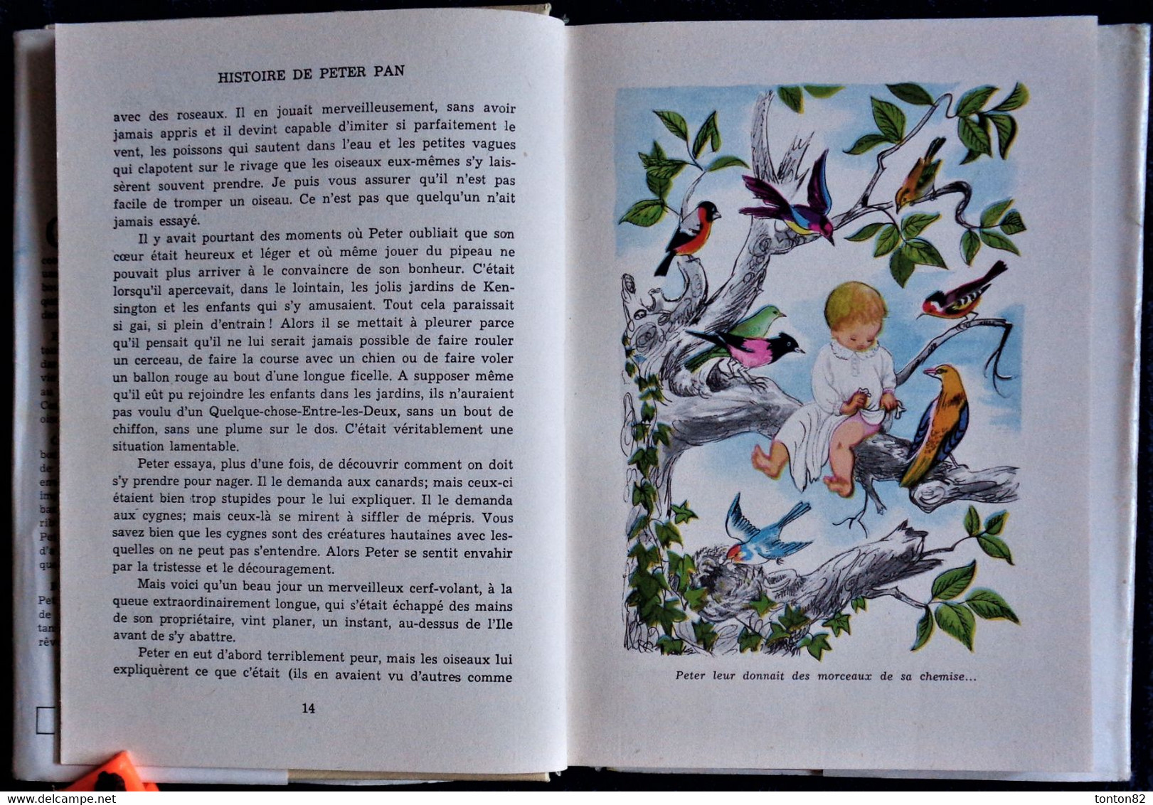 J.M. Barrie - PETER PAN - Idéal Bibliothèque N° 25 - ( 1956  ) .