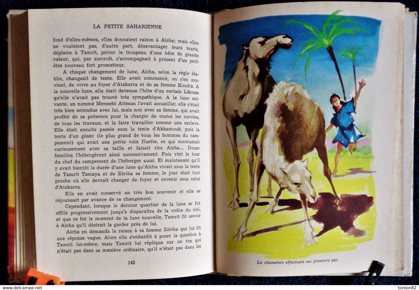 Paluel - Marmont - La Petite Saharienne - Idéal Bibliothèque N° 89 - ( 1955  ) . - Ideal Bibliotheque