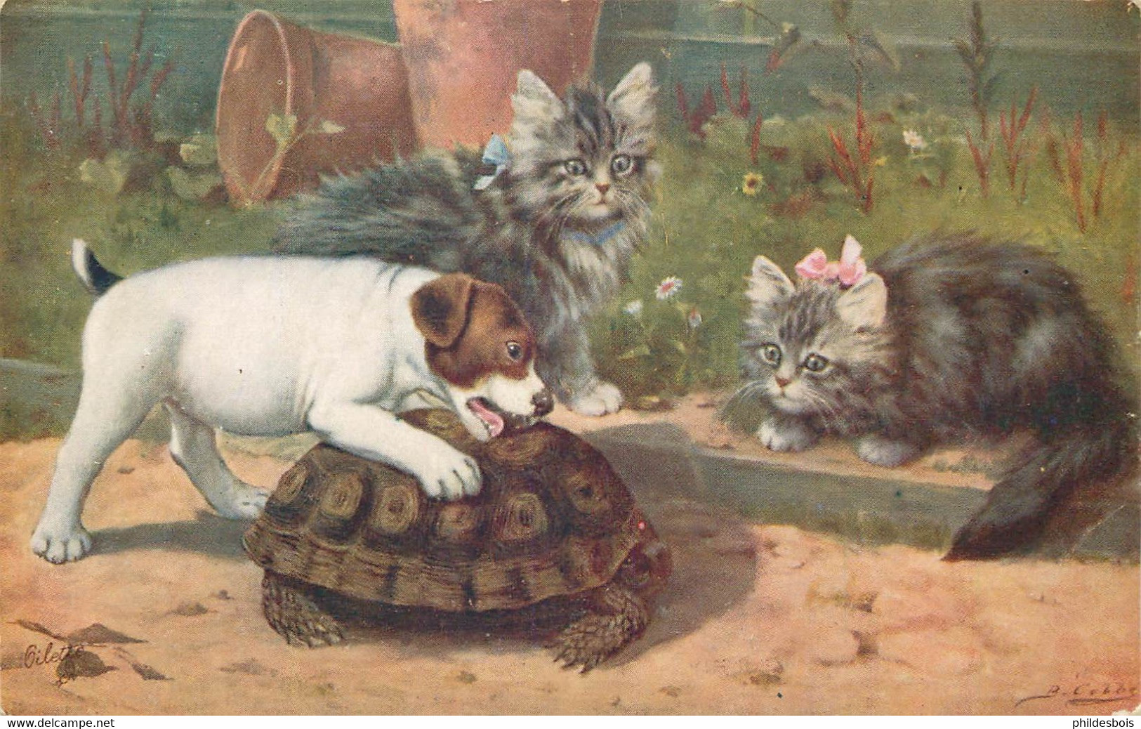 ANIMAUX TORTUE/ CHIEN / CHATS - Turtles