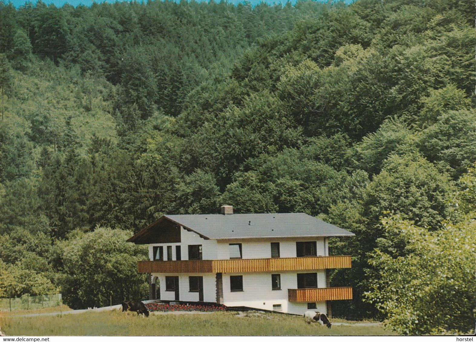 D-37213 Witzenhausen - Werra - Waldpension Hotze - Witzenhausen