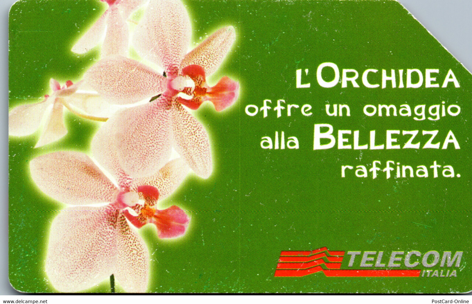 16253 - Italien - Messaggi Floreali , Il Orchidea - Öff. Diverse TK