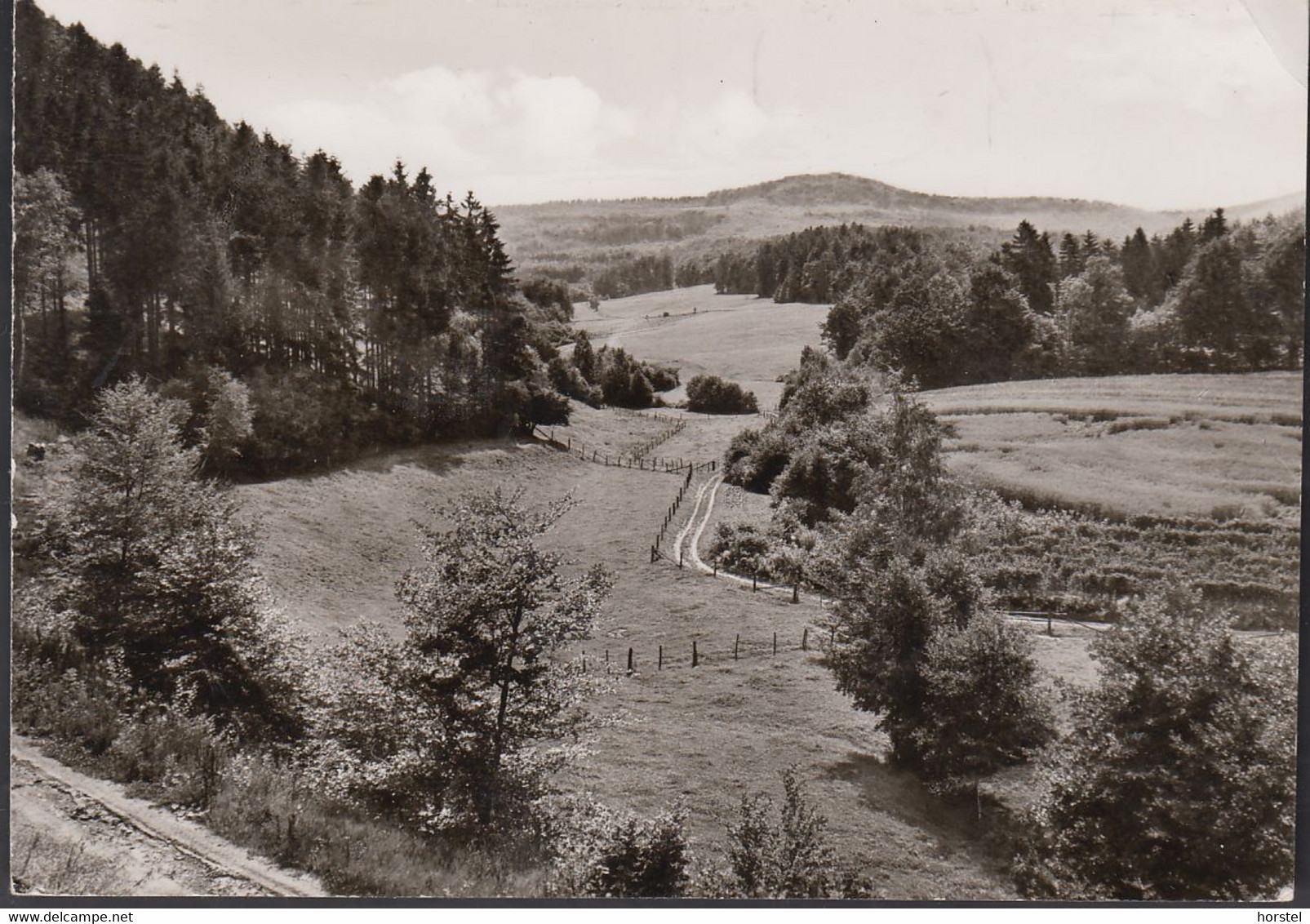 D-37217 Witzenhausen - Rossbach - Im Kaufungerwald Mit Bilstein - Witzenhausen