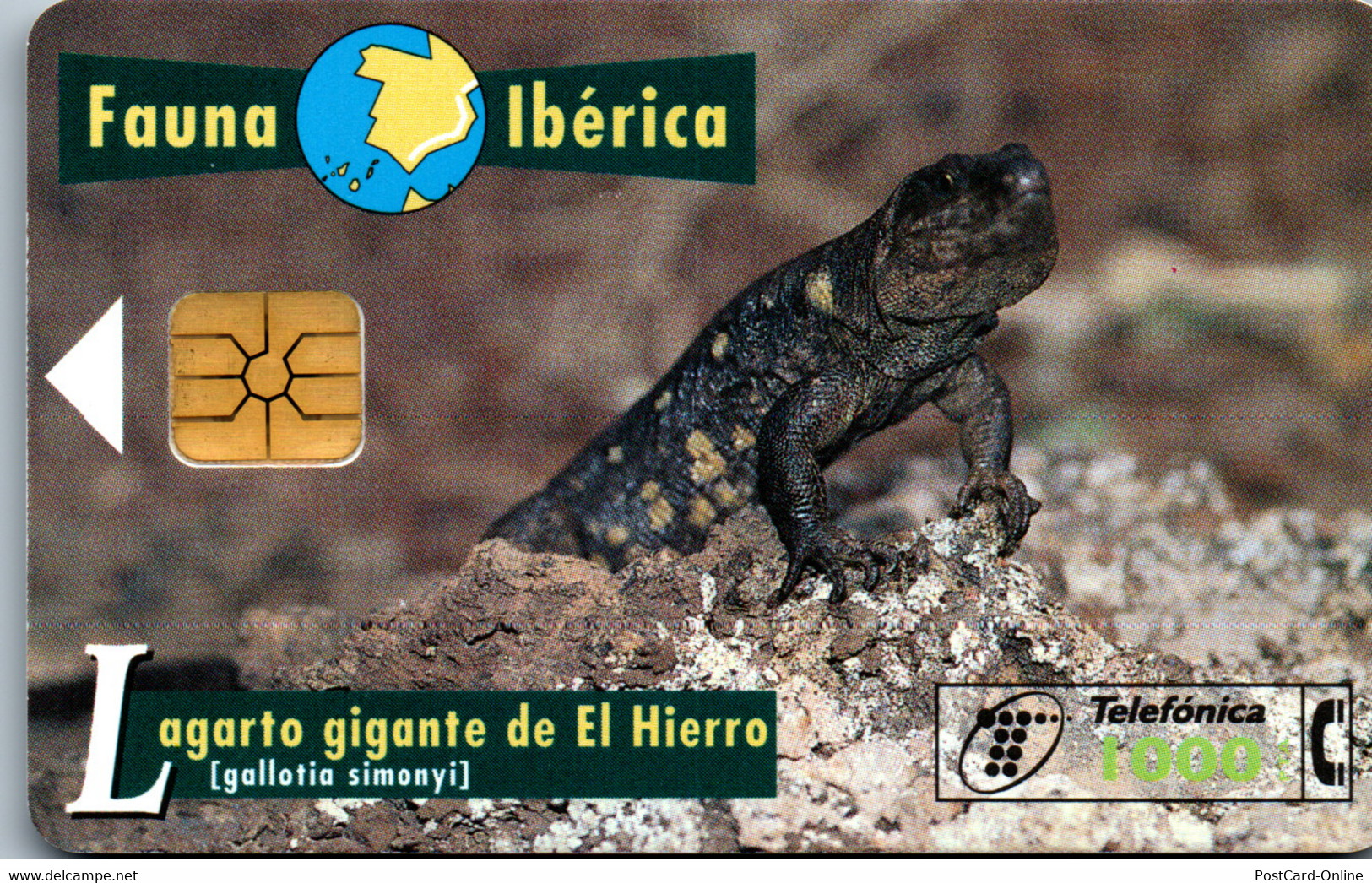 16298 - Spanien - Fauna Iberica , Lagarto Gigante De El Hierro - Autres & Non Classés