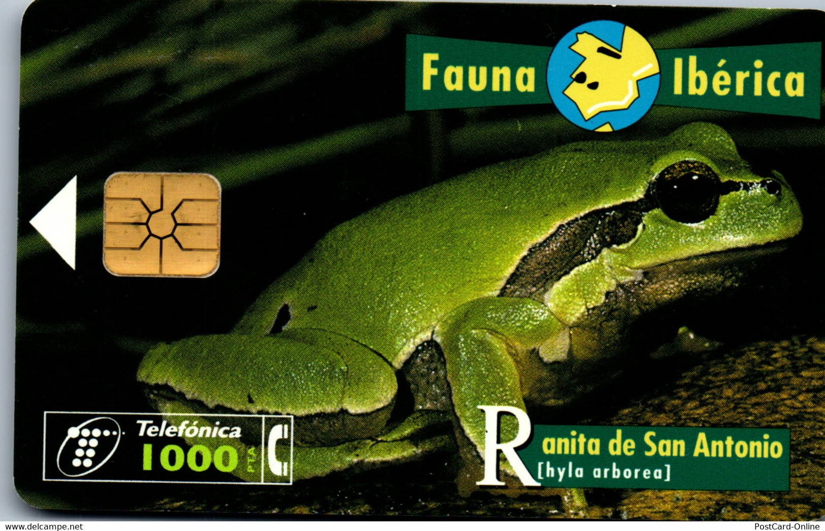 16332 - Spanien - Fauna Iberica , Ranita De San Antonio - Sonstige & Ohne Zuordnung