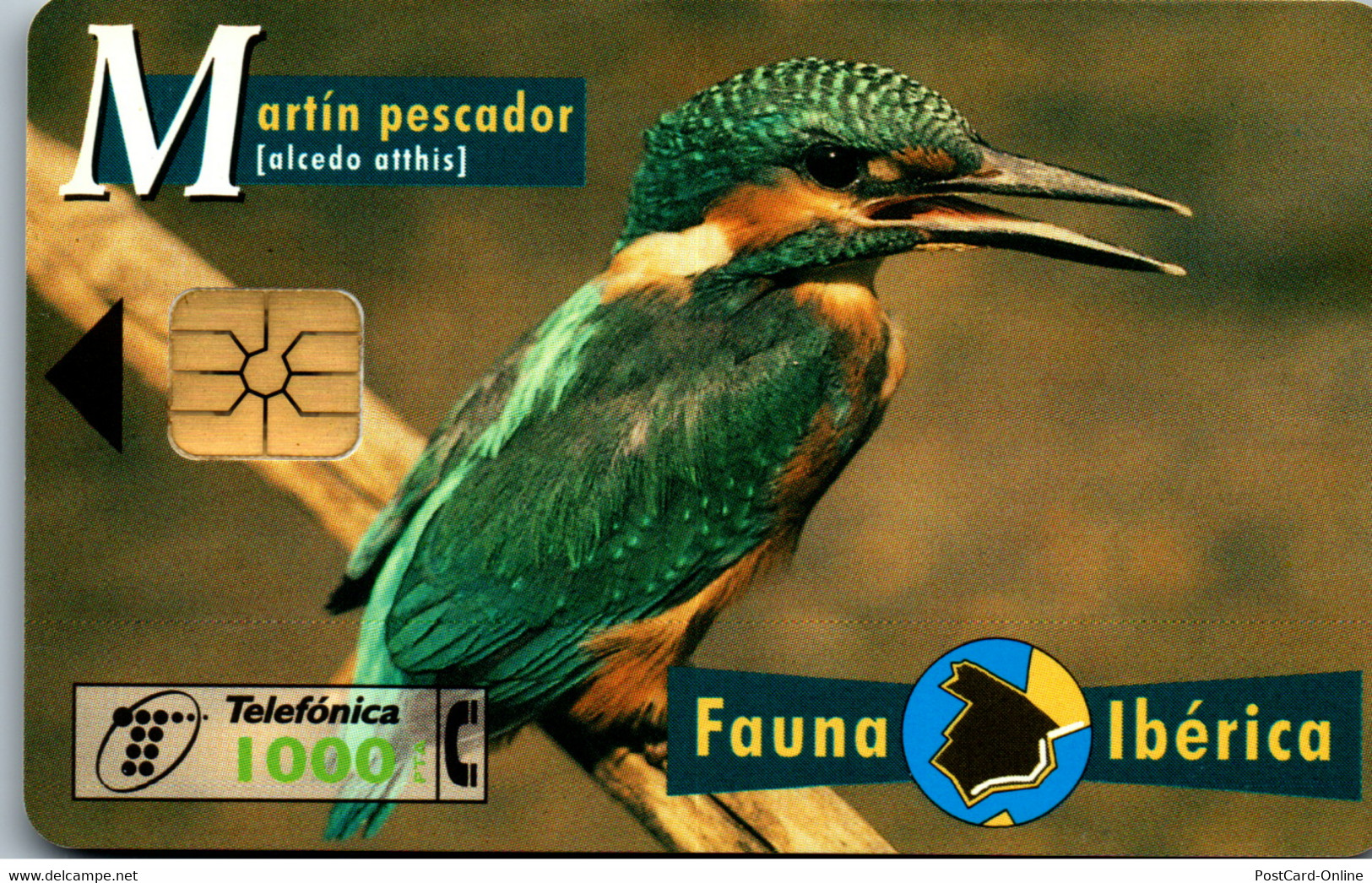 16382 - Spanien - Fauna Iberica , Martin Pescador - Other & Unclassified