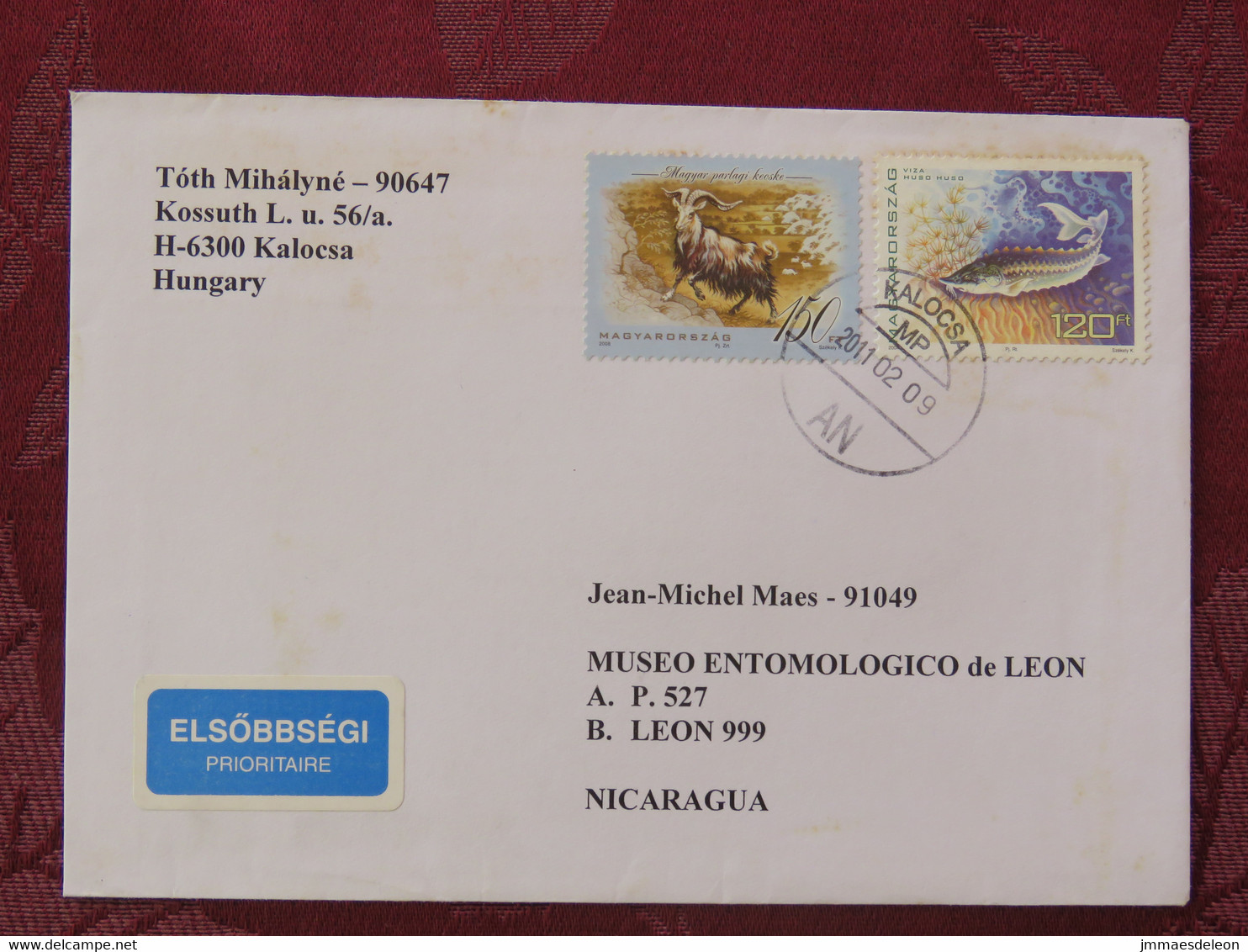 Hungary 2011 Cover To Nicaragua - Goat - Fish Caviar - Covers & Documents