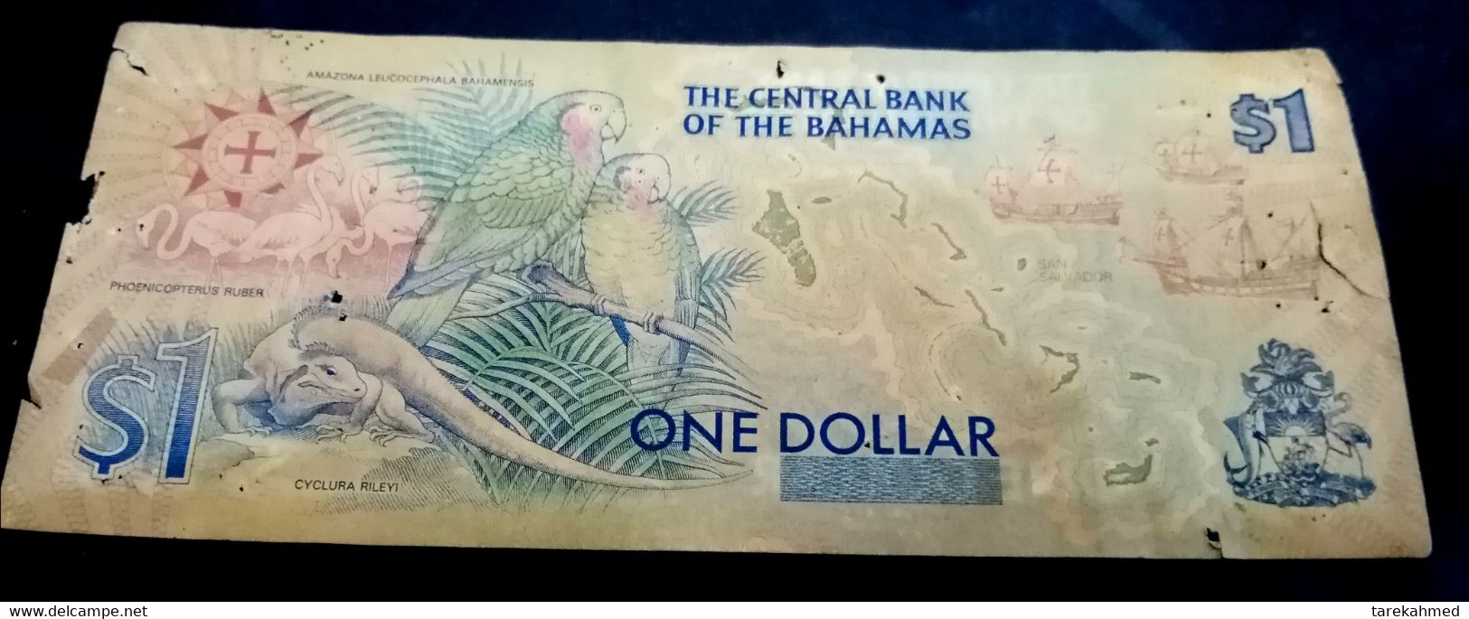 Bahamas . 1 Dollar (Quincentennial Of First Landfall Of Columbus) 1992 - Bahamas