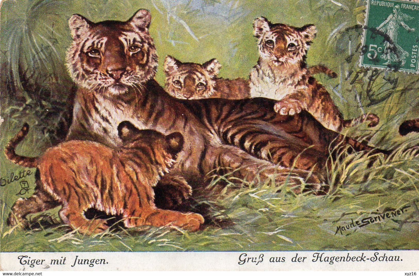 Oilette - Park Zoo Hagenbeck Tiger Mit Jungen  Tigre Avec Petits - Eimsbüttel