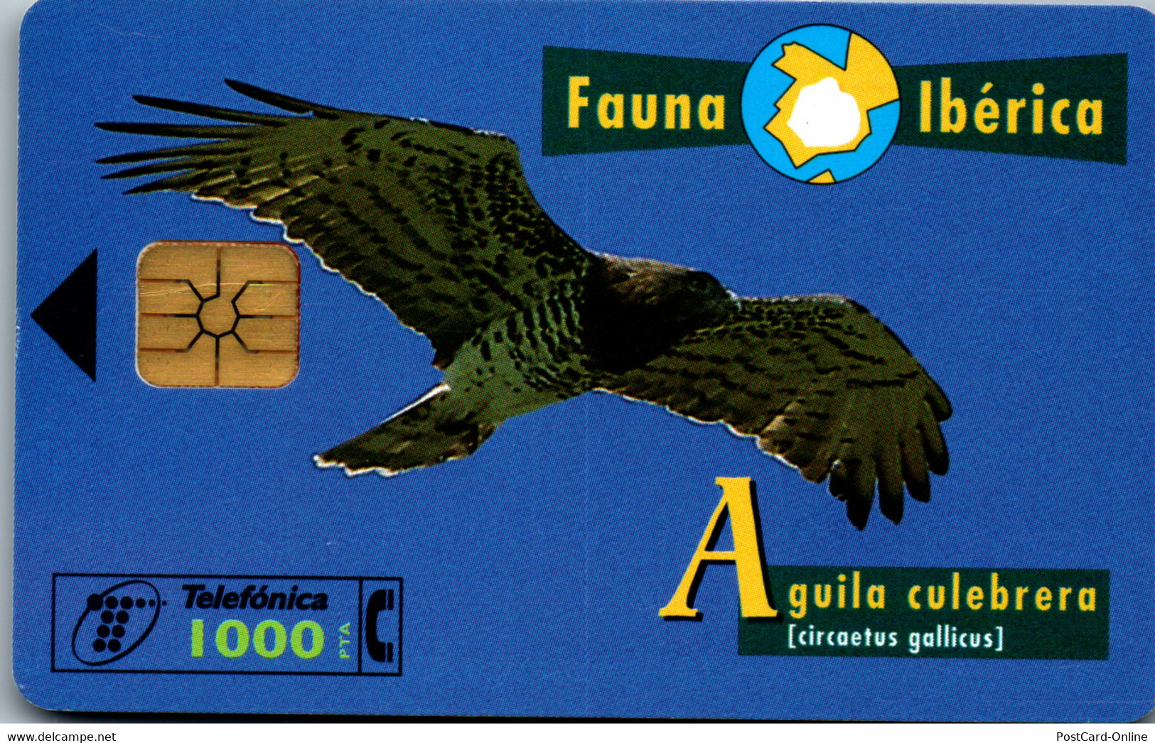 16569 - Spanien - Fauna Iberica , Aguila Culebrera - Autres & Non Classés