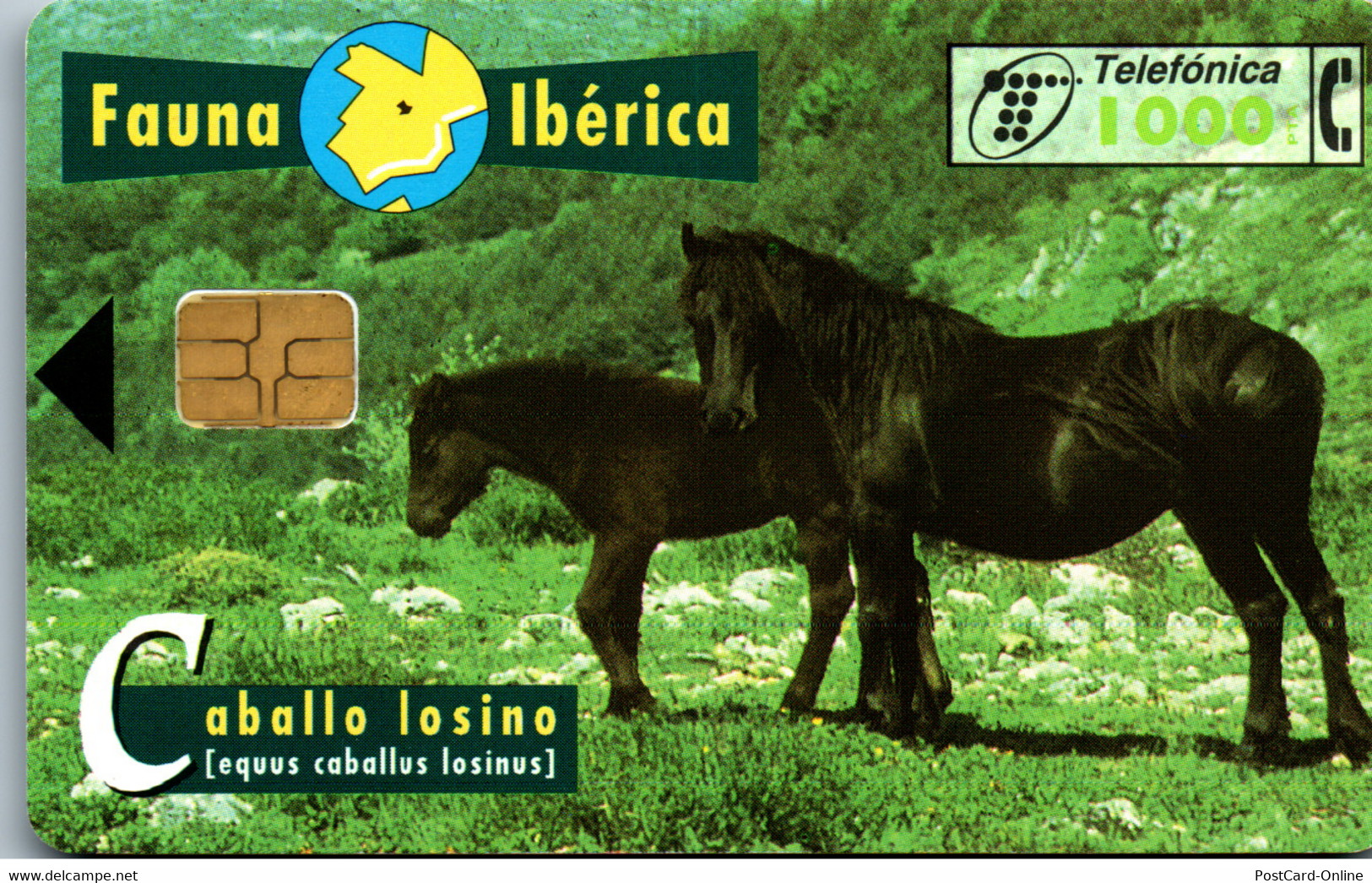 16608 - Spanien - Fauna Iberica , Caballo Iosino - Andere & Zonder Classificatie