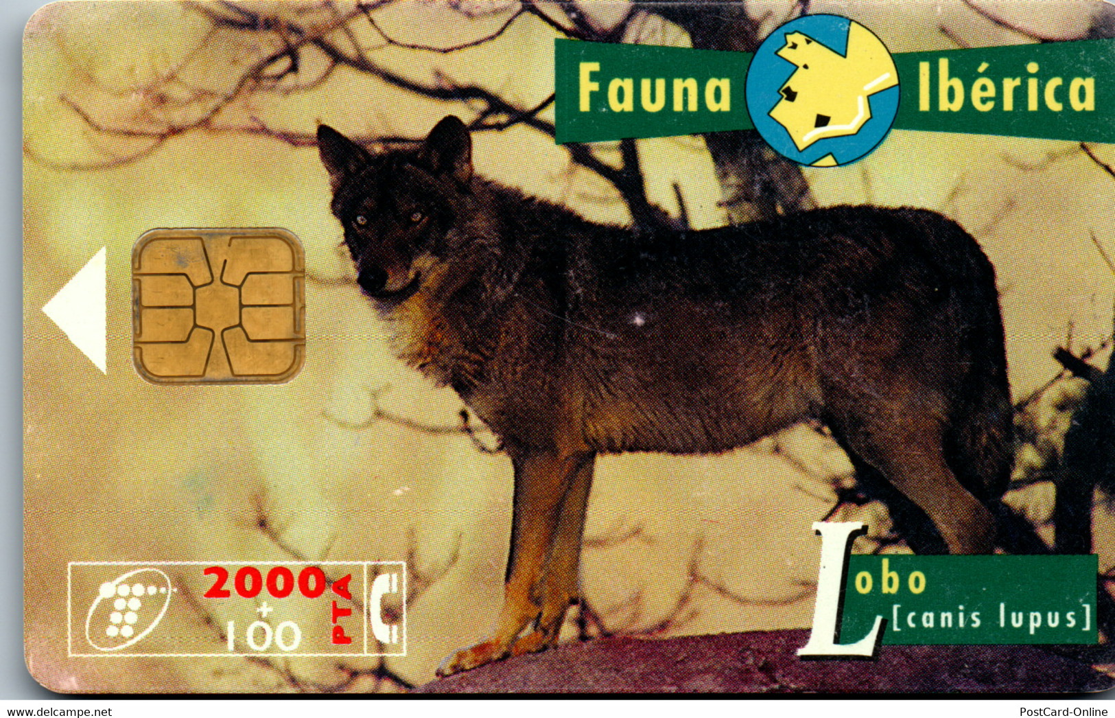 16609 - Spanien - Fauna Iberica , Lobo - Sonstige & Ohne Zuordnung