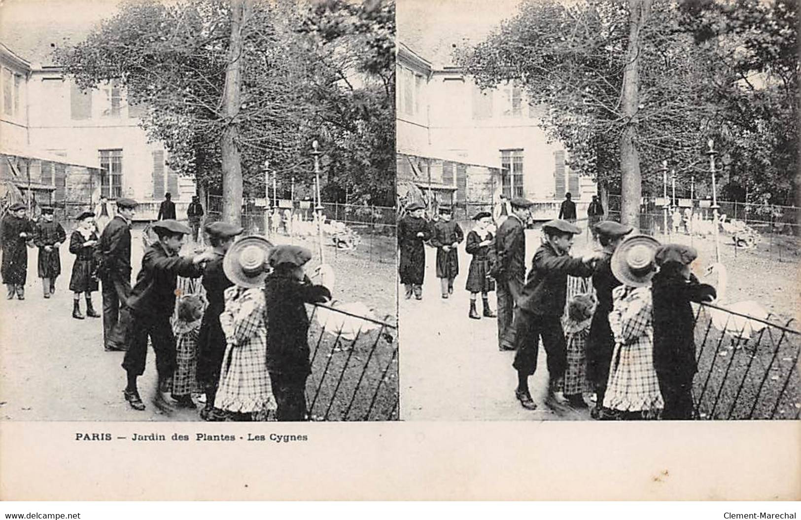 PARIS - Jardin Des Plantes - Les Cygnes - Très Bon état - Distrito: 05